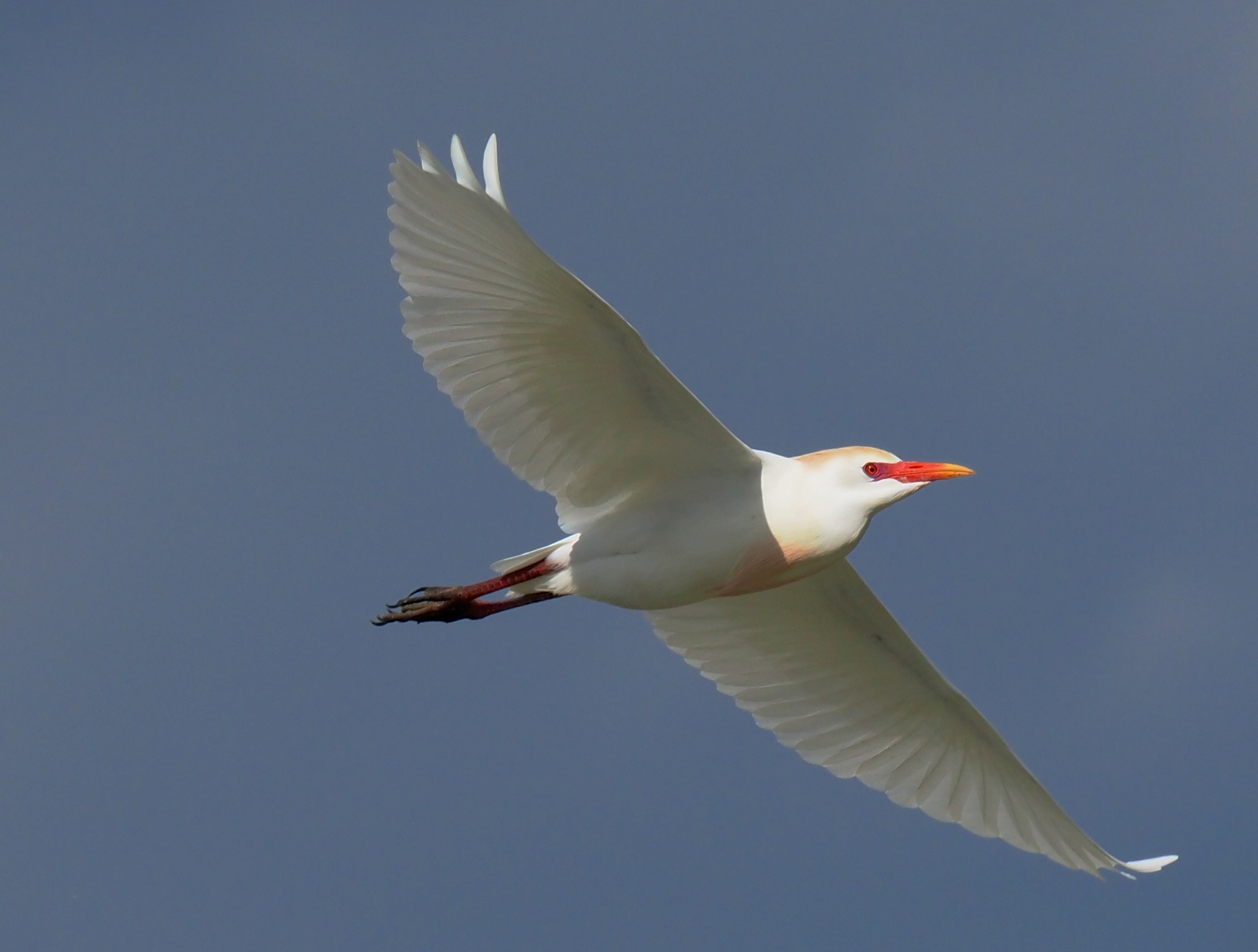 Look at the Sunbeam.