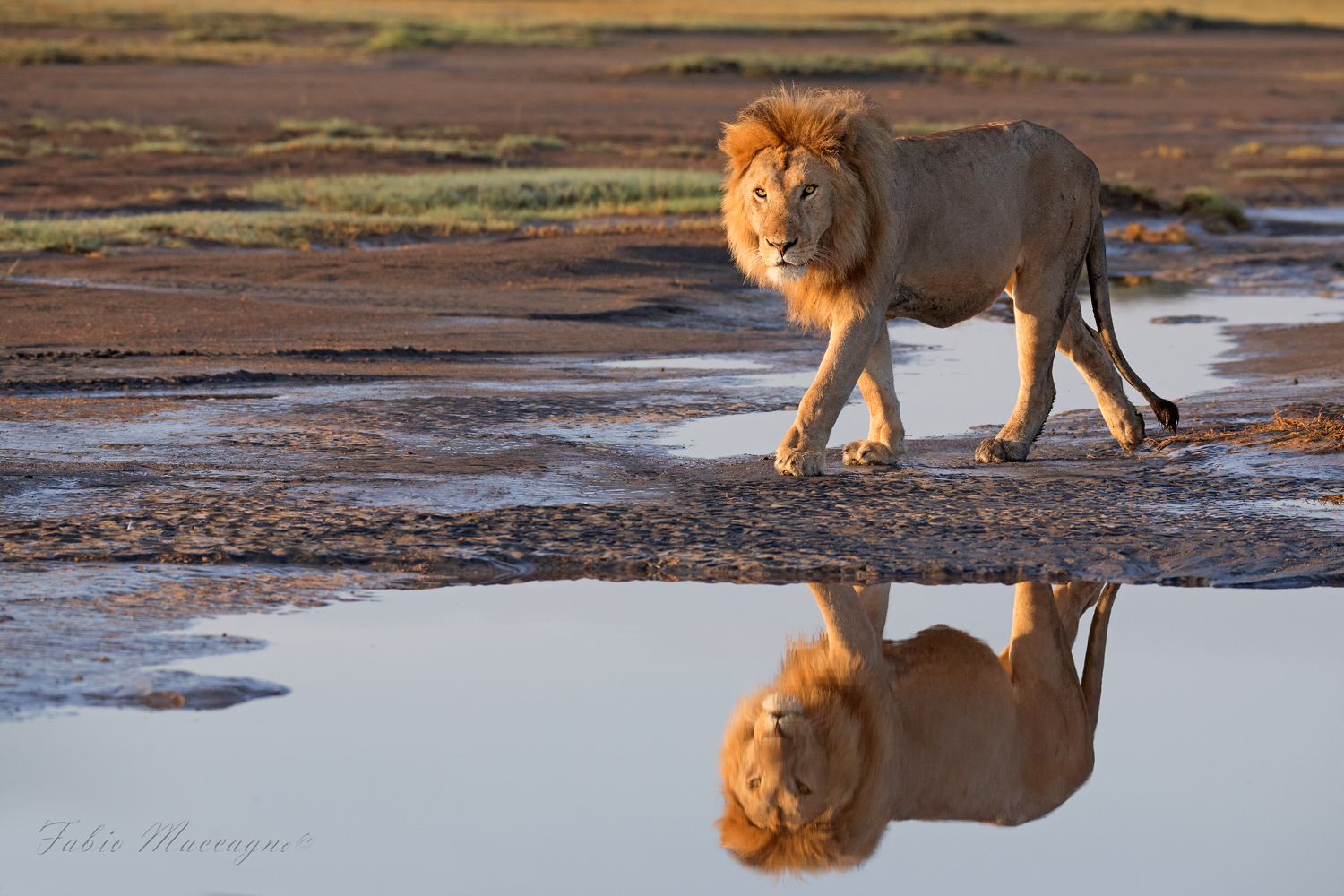 Riflessioni mattutine