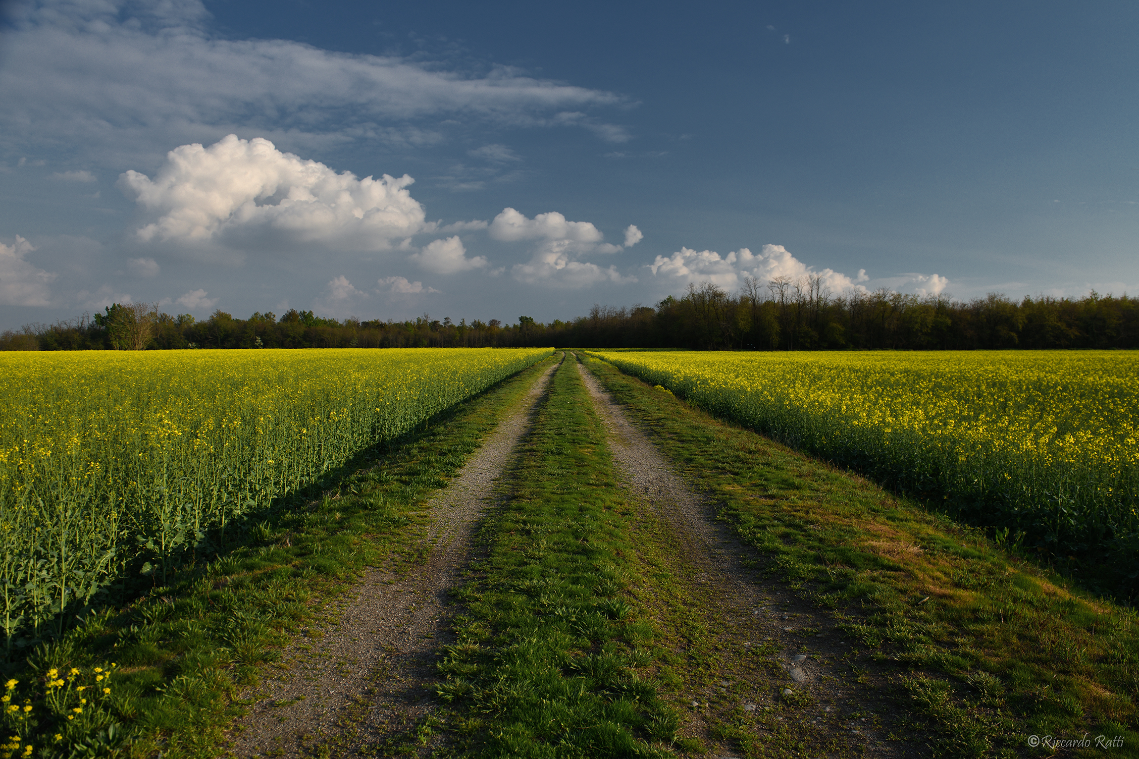 Via della colza n°0