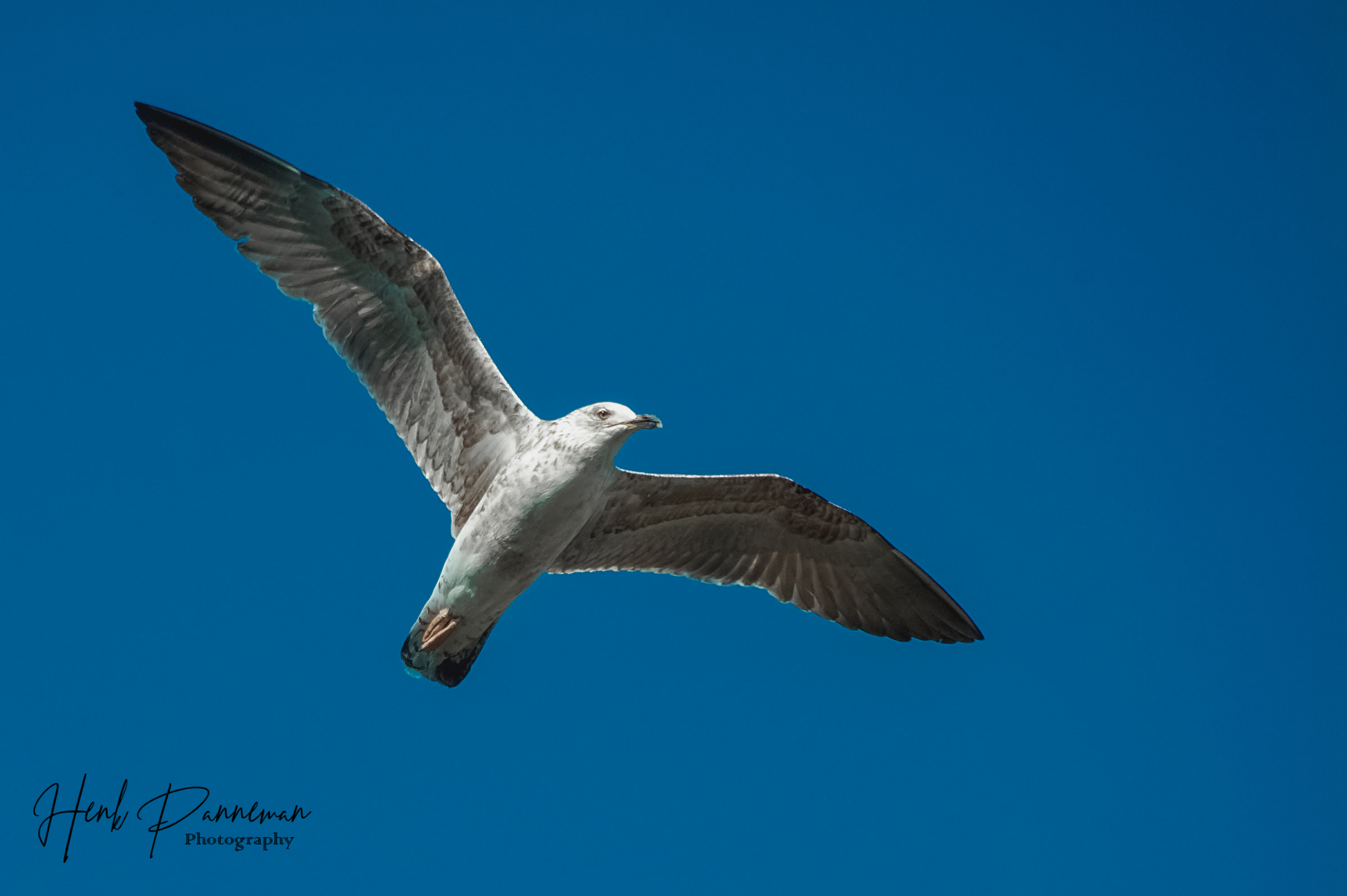 Raggiungere il cielo