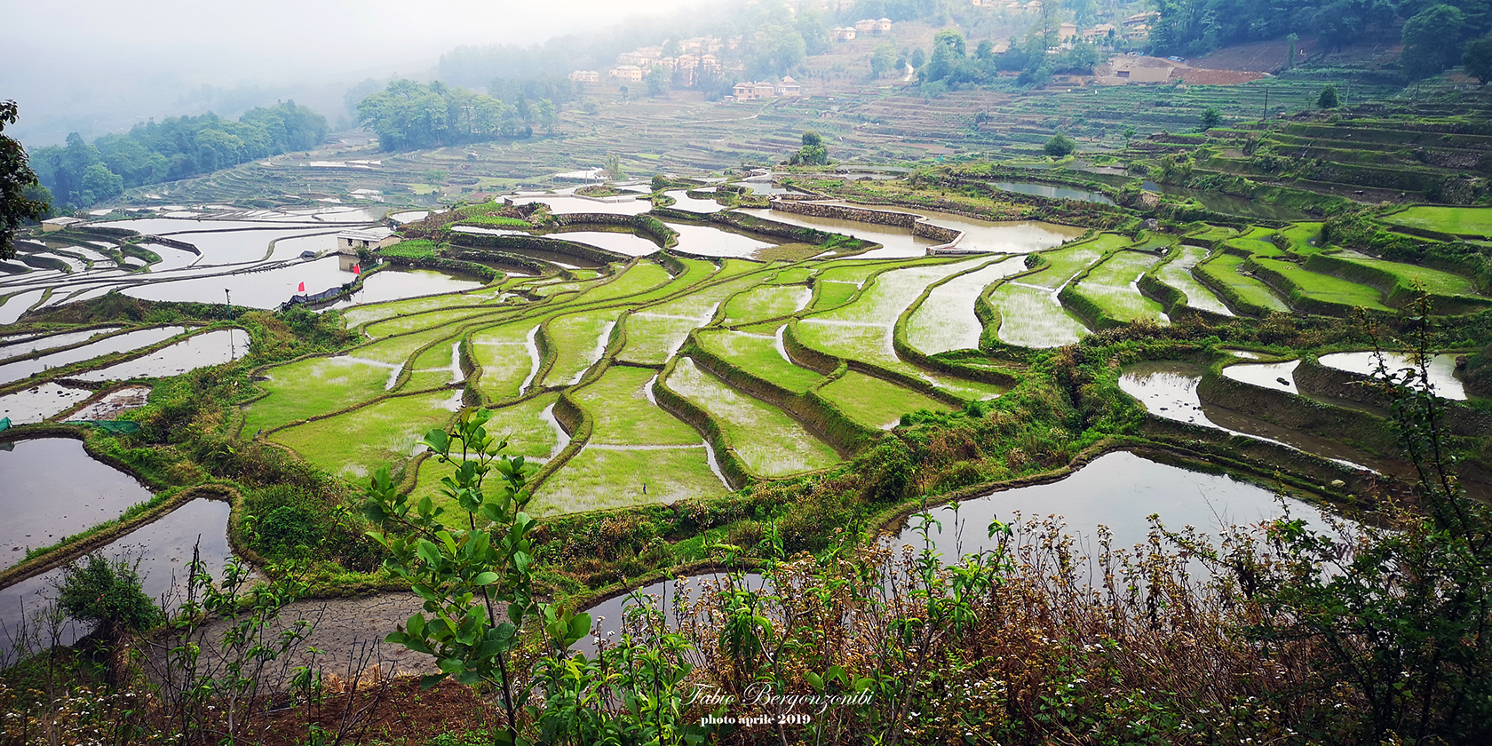 Nature and Work = poetry