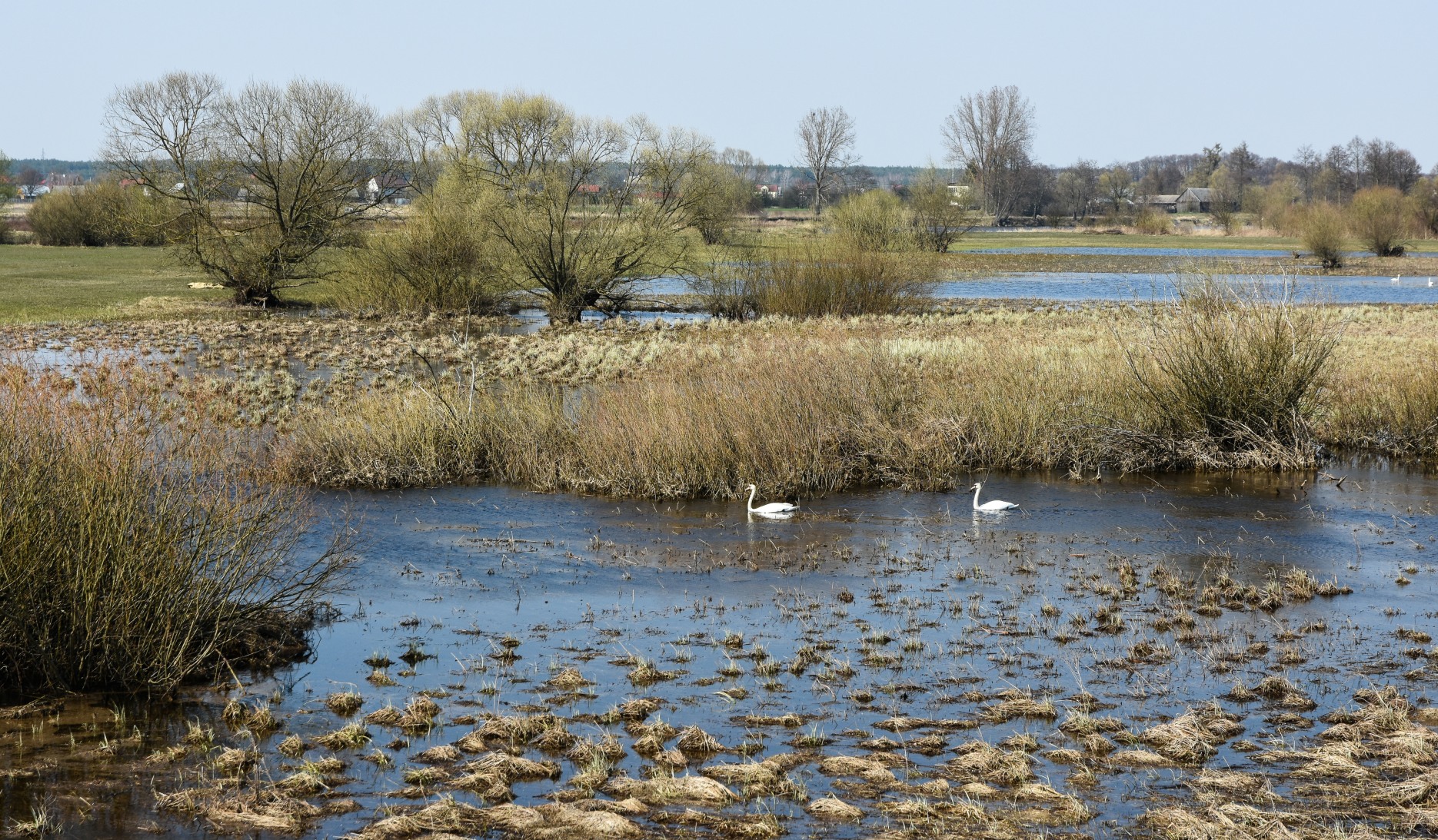 La valle del fiume bug, Polonia