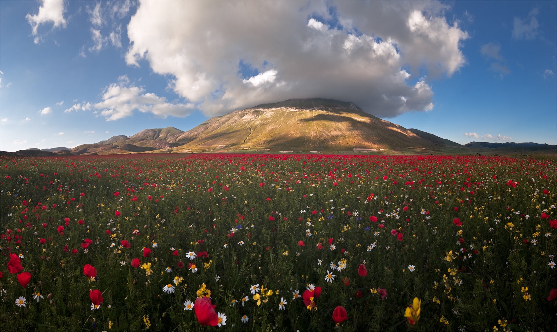 La Fioritura di Castelluccio di Norcia