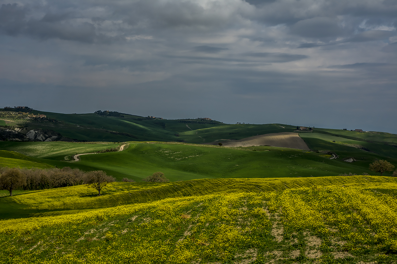 Val d'Orcia.