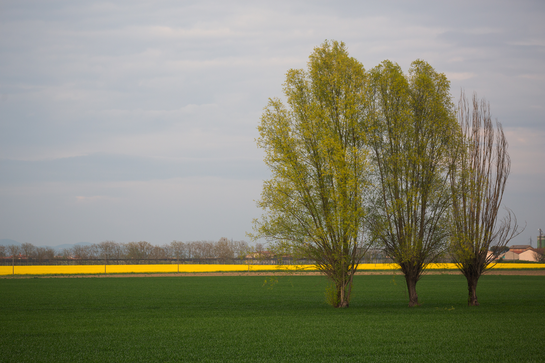 Pennellate di primavera