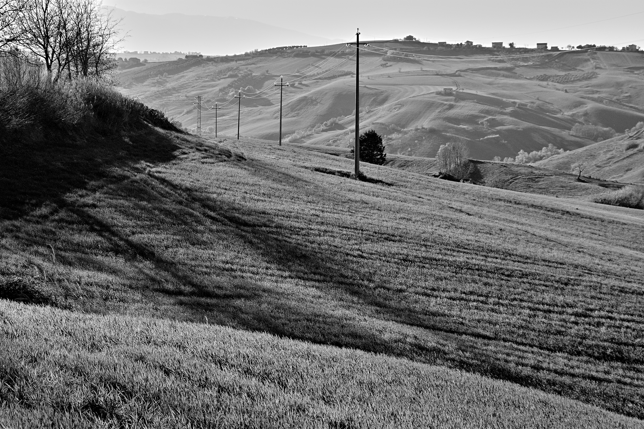 Blades and Blades of Grass