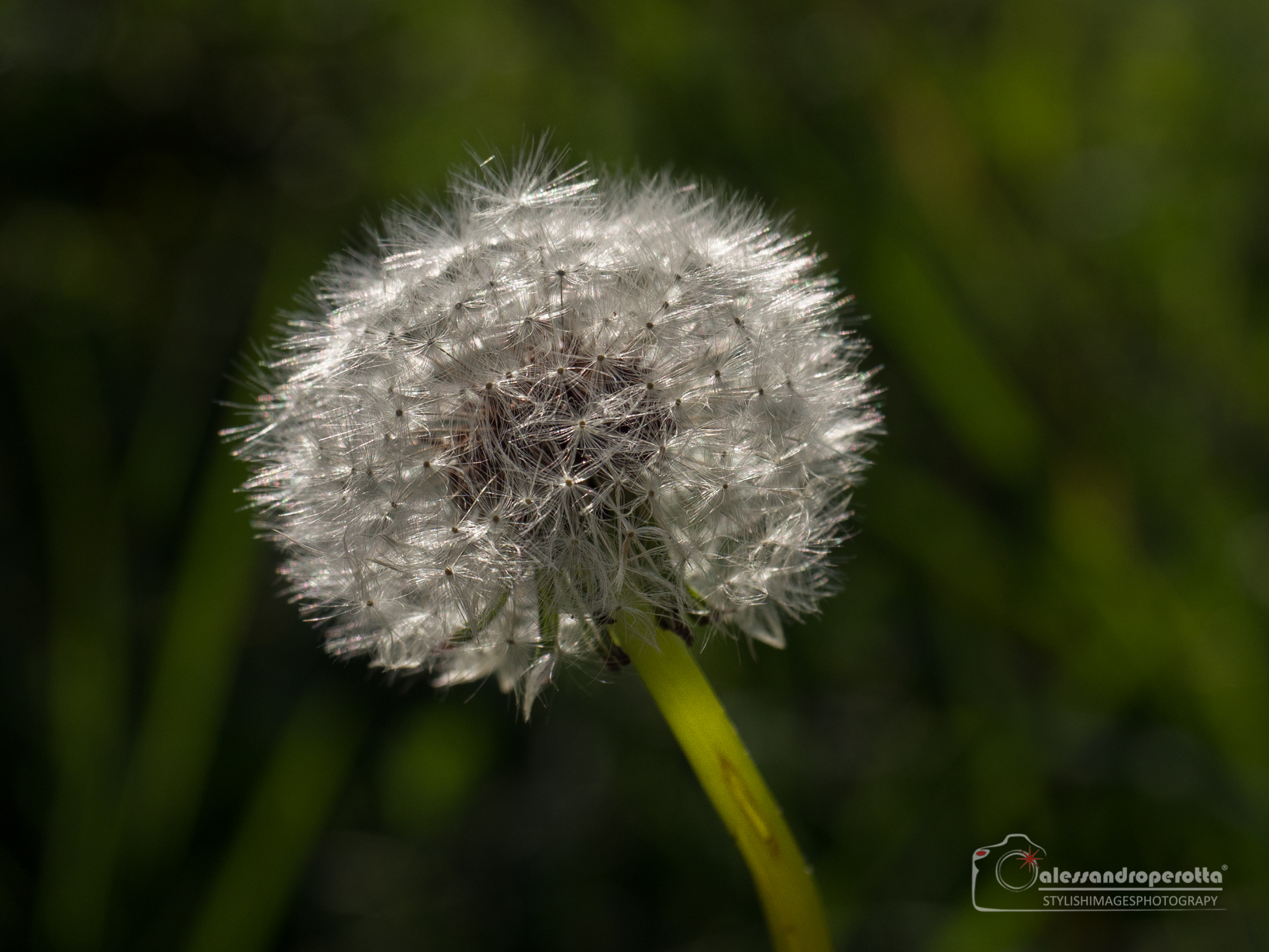 All in one breath...