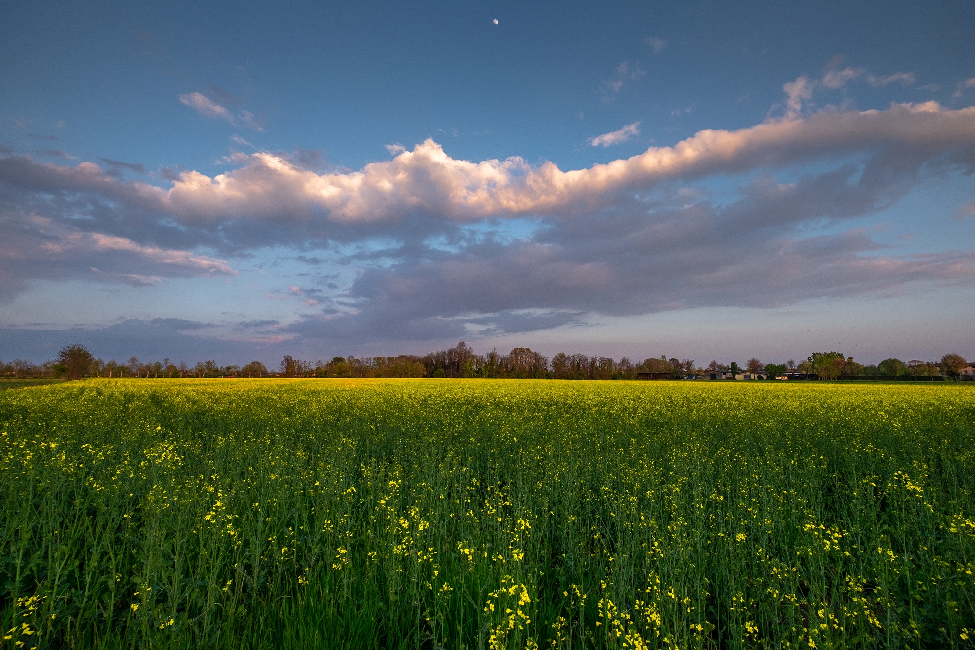 Placida sera primaverile