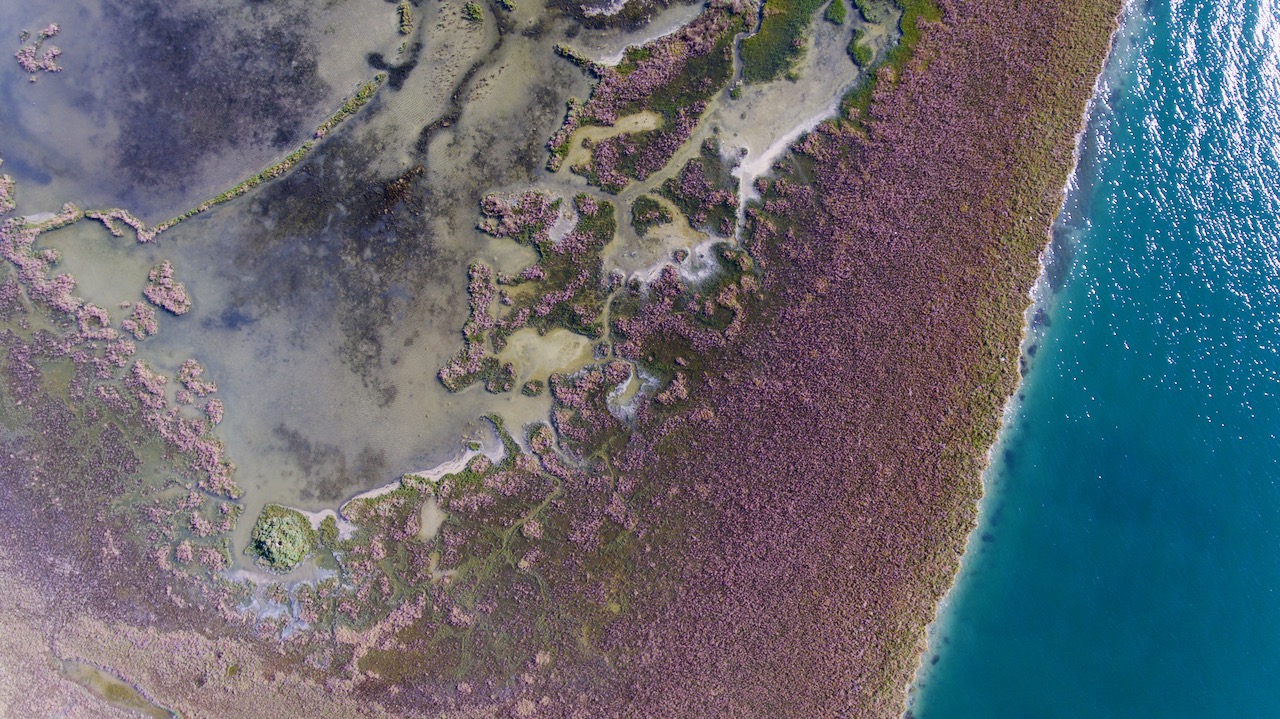 barene al tramonto della Laguna Veneta