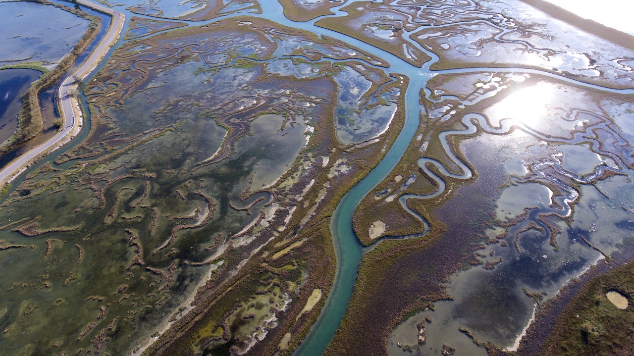 volo sulle barene della Laguna Veneta