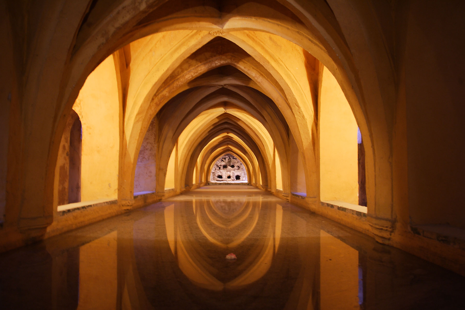 Alcazar Canon 1D Mark II OB 24 f 2.8