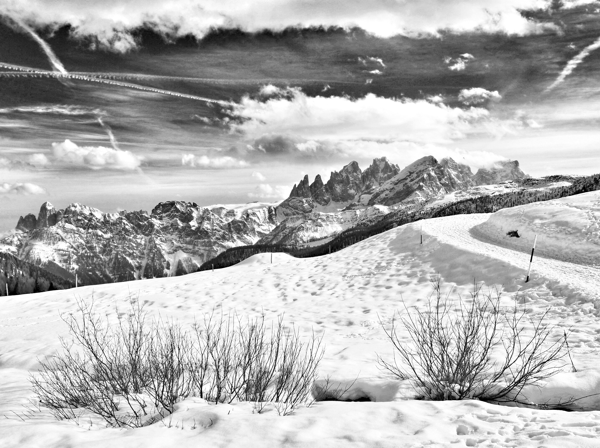 Gruppo Pale di S. Martino