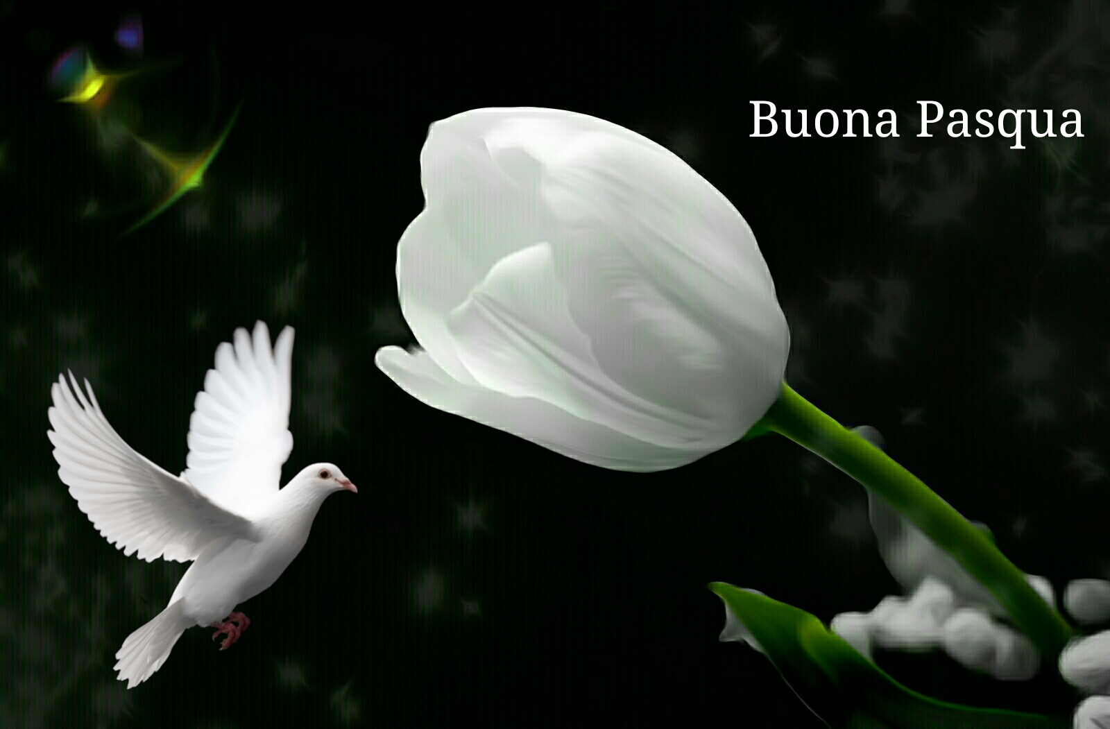 Buona Pasqua a tutti gli amici di Juza