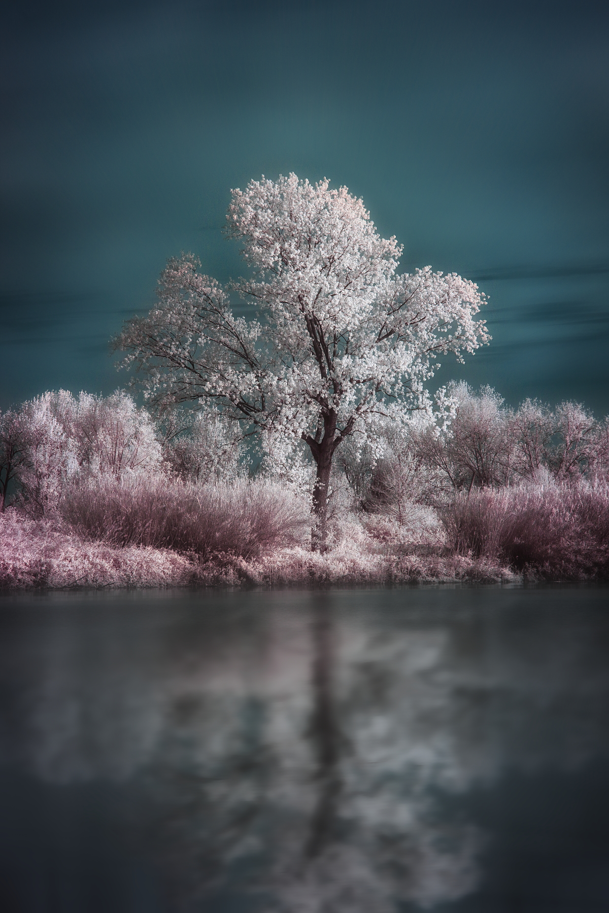 Spring IR