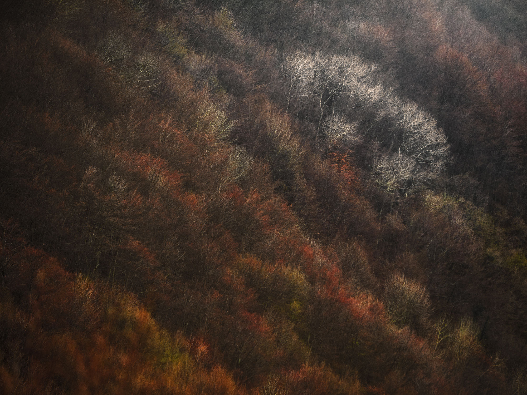 uno scorcio di campagna