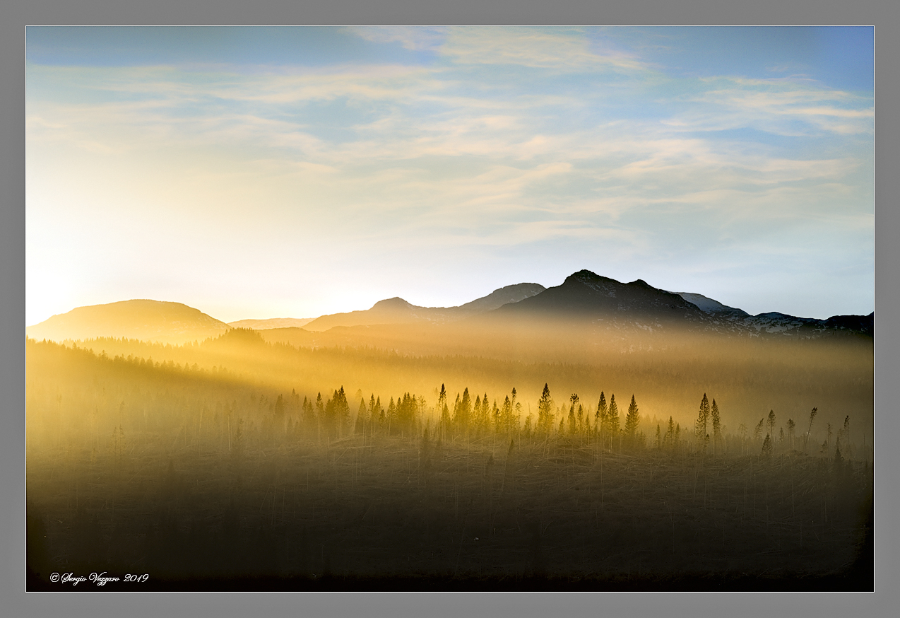 That Caress of the evening