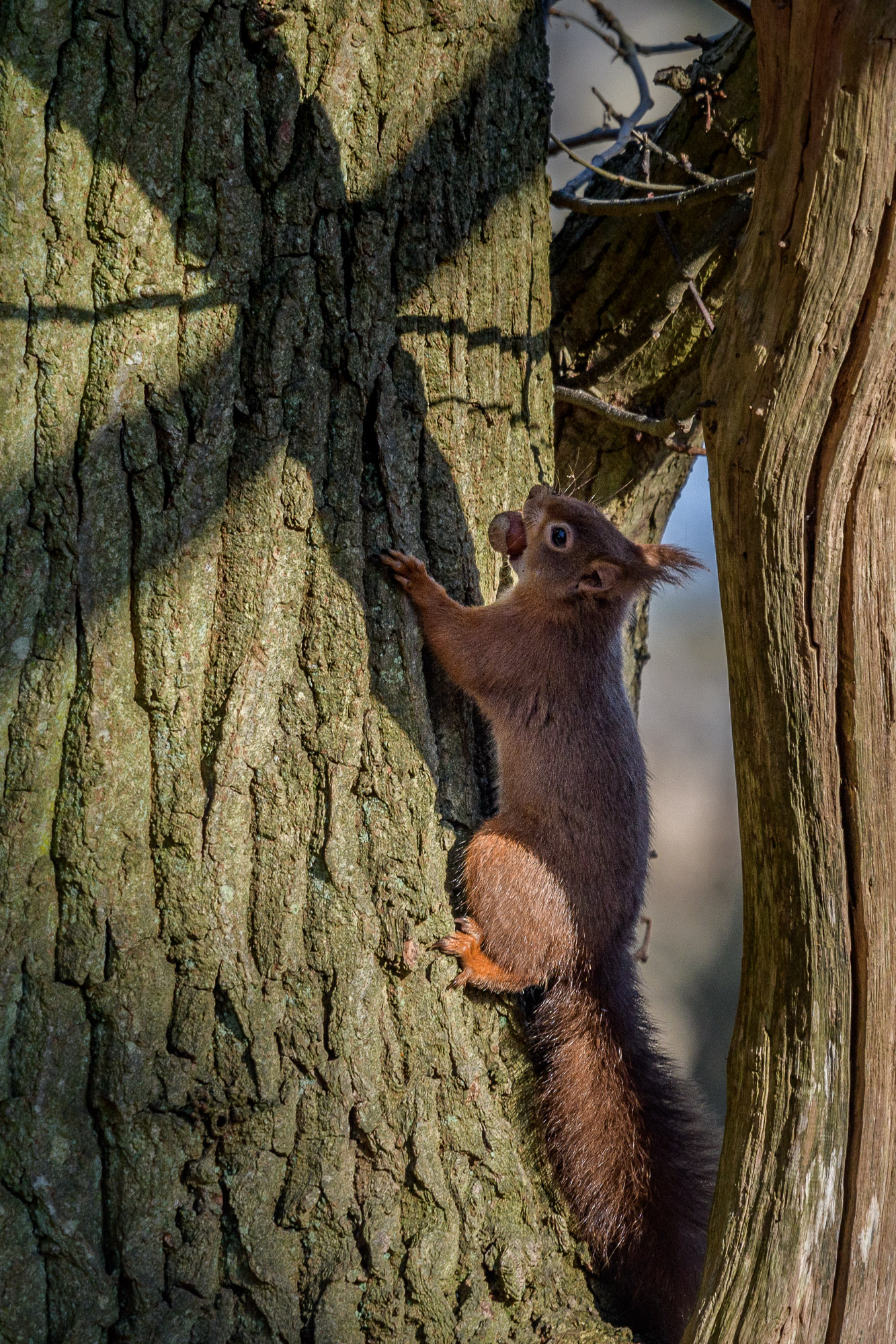 At The Foot Of The Cross