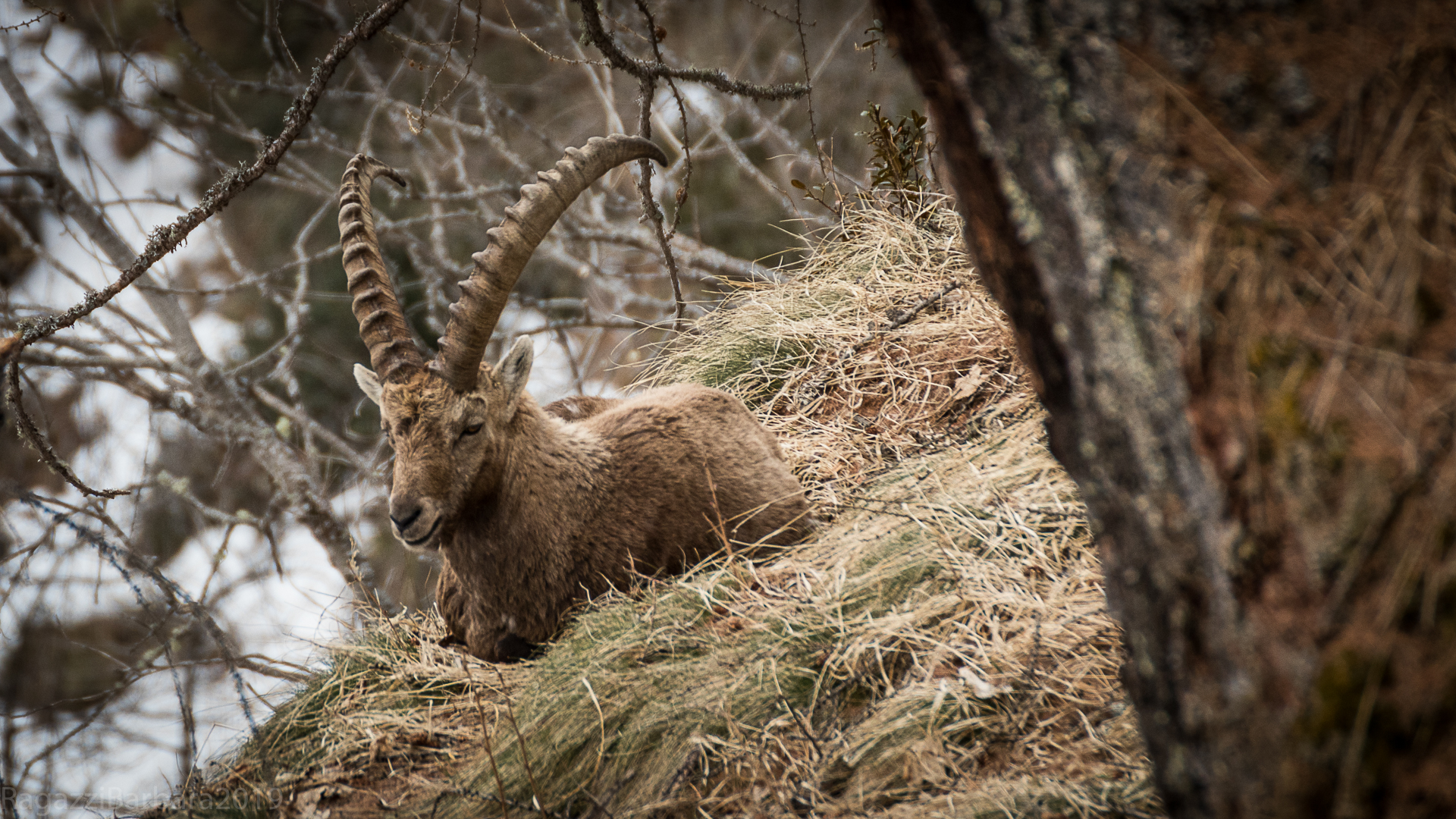 Incontri al Parco Naturale Alta Valsesia
