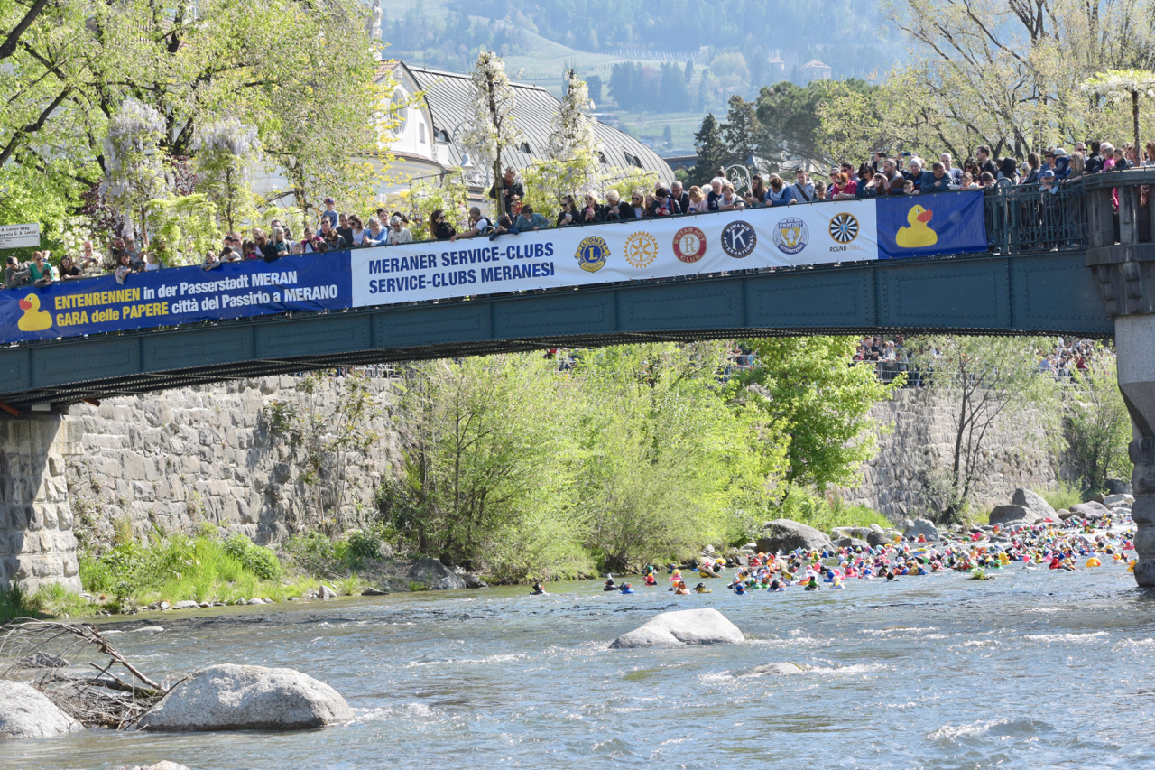 gara delle papere a pasqua a merano