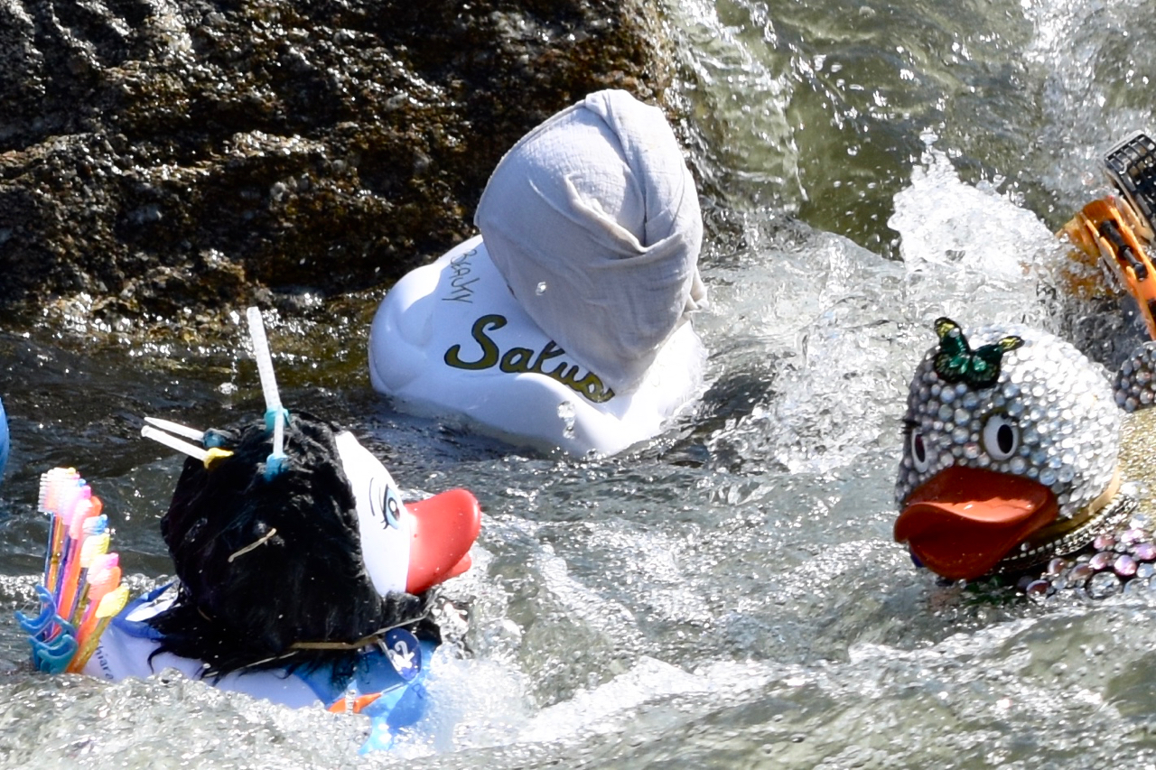 gara delle papere a pasqua a merano