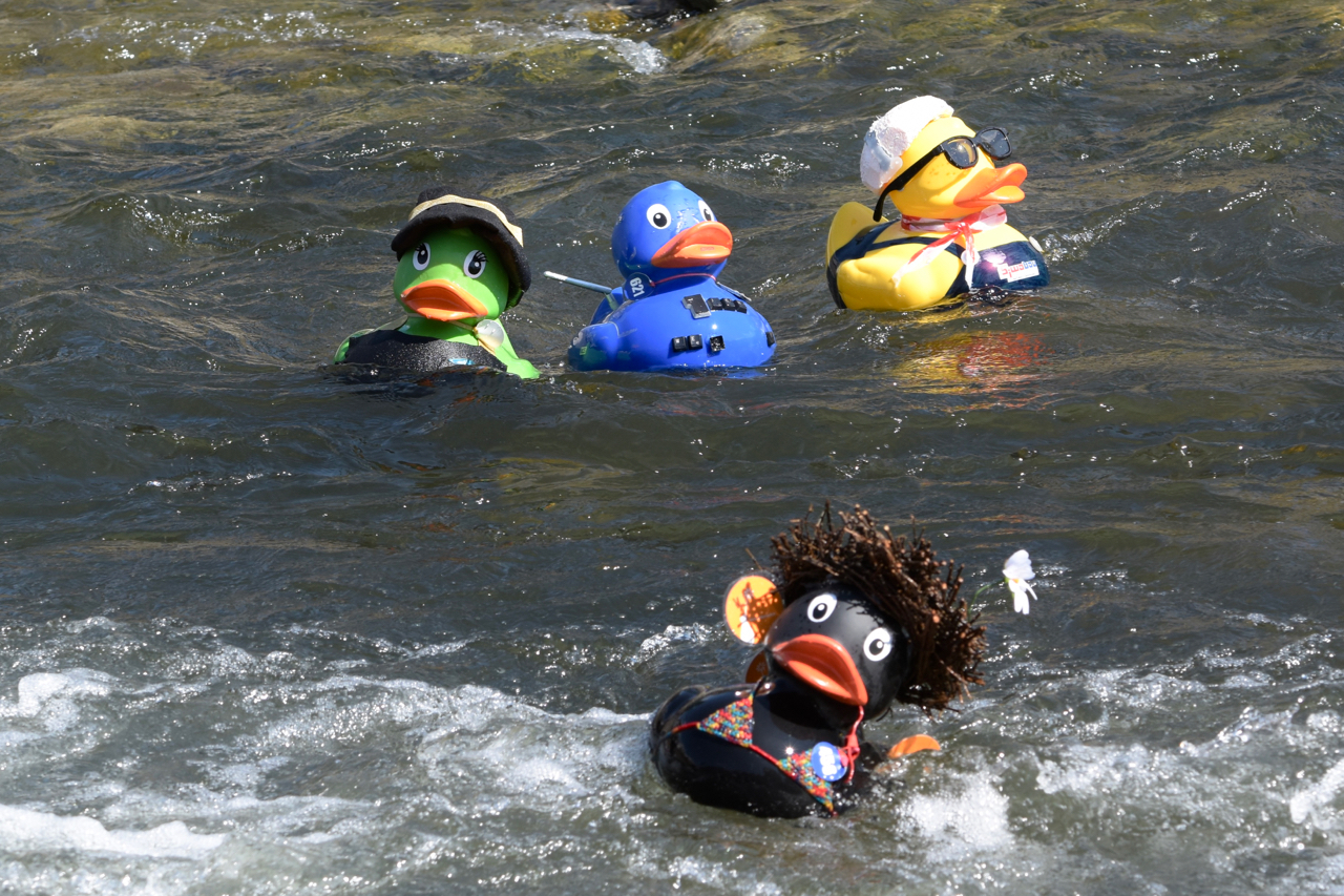 gara delle papere a pasqua a merano