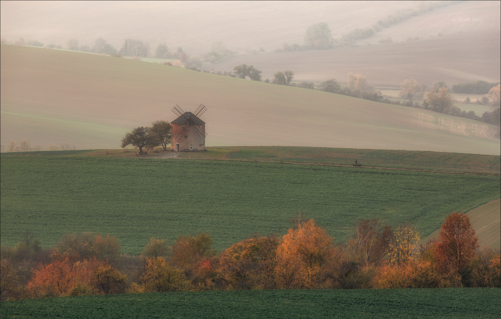 Waiting for Don Quixote