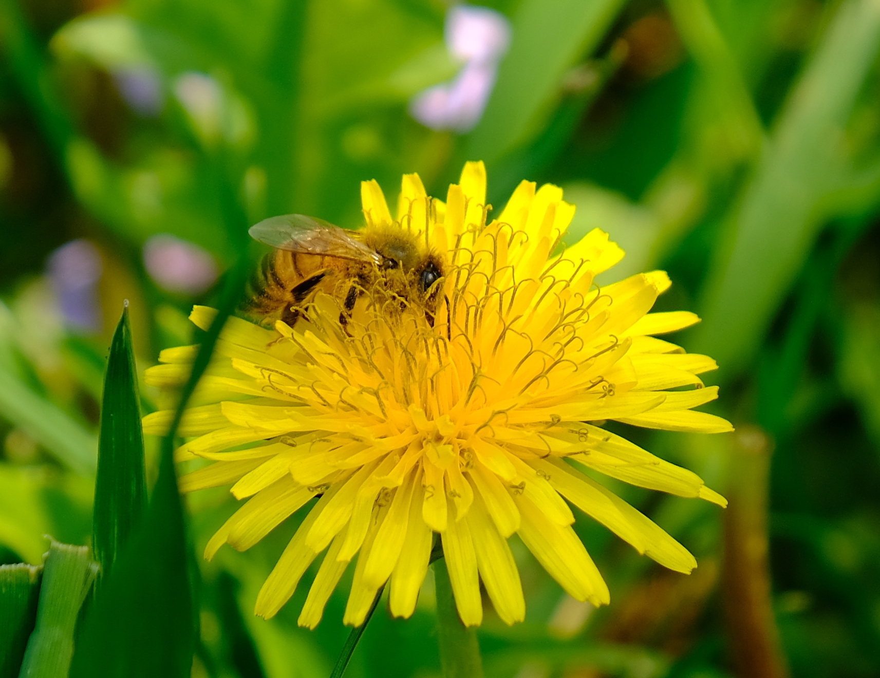 Al lavoro in un mondo di colori