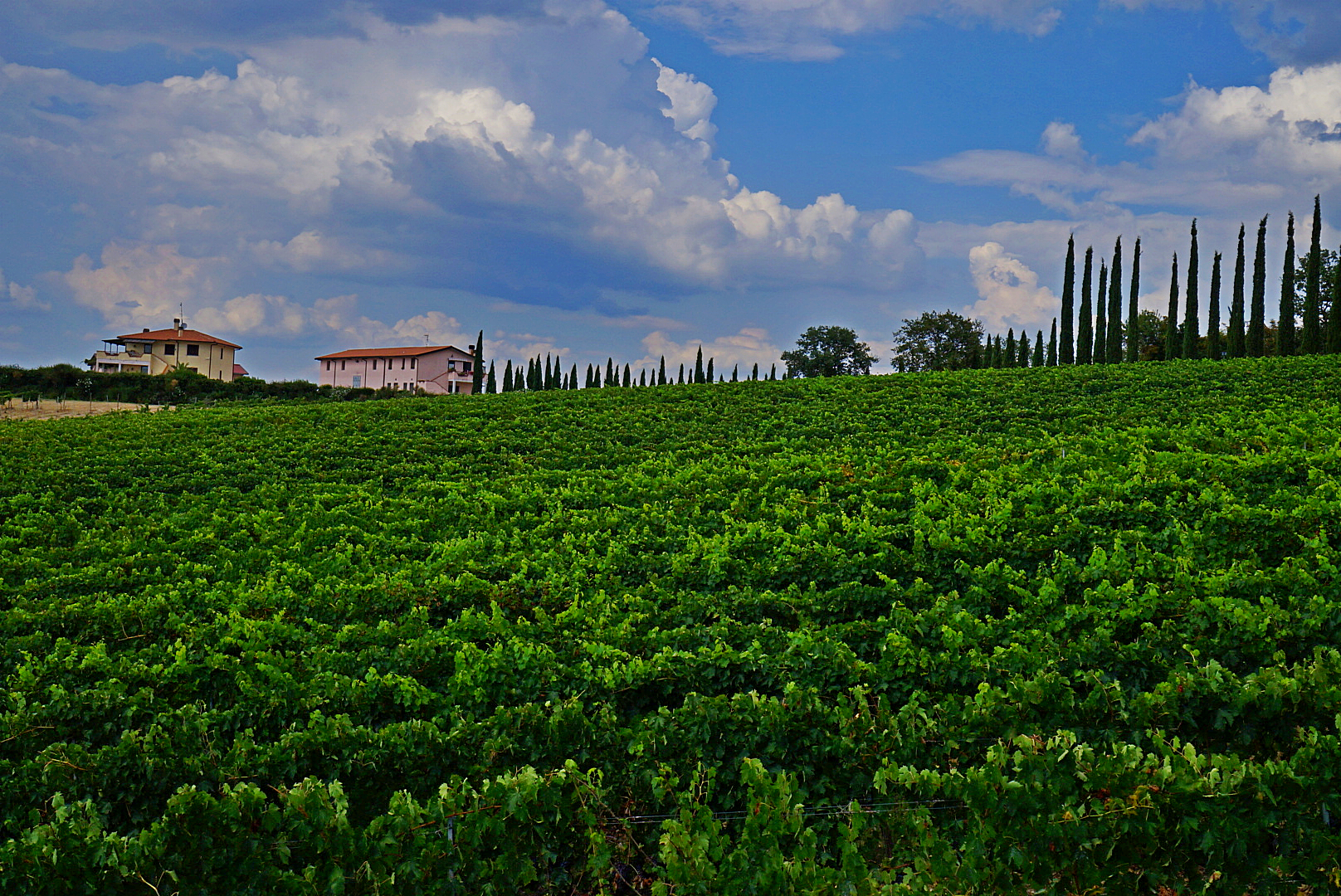 Wandering around Tuscany