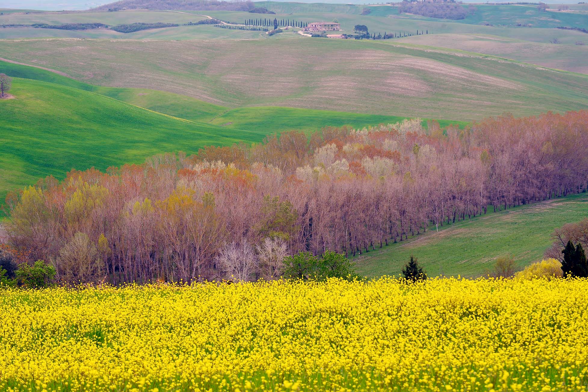 Val D'orcia