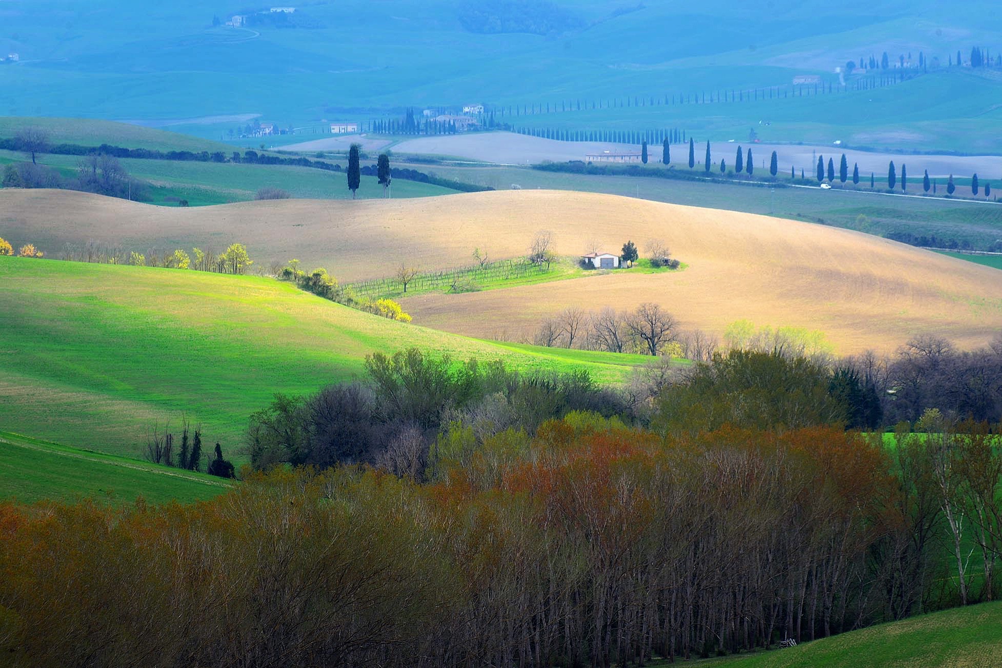 Light and Colours in Val D'orcia (San Quirico)