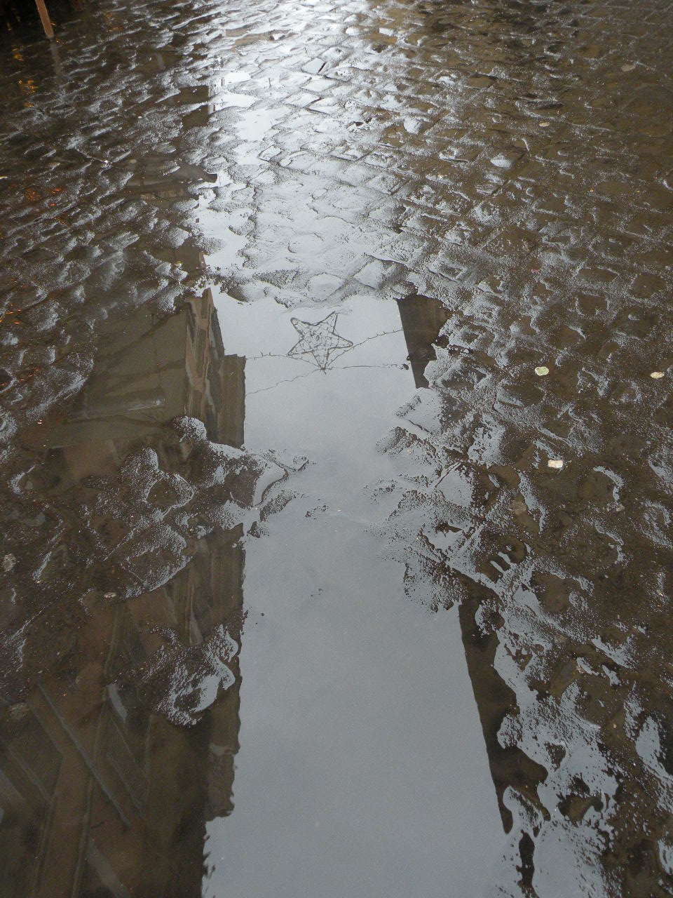 Orgoglio di una stella