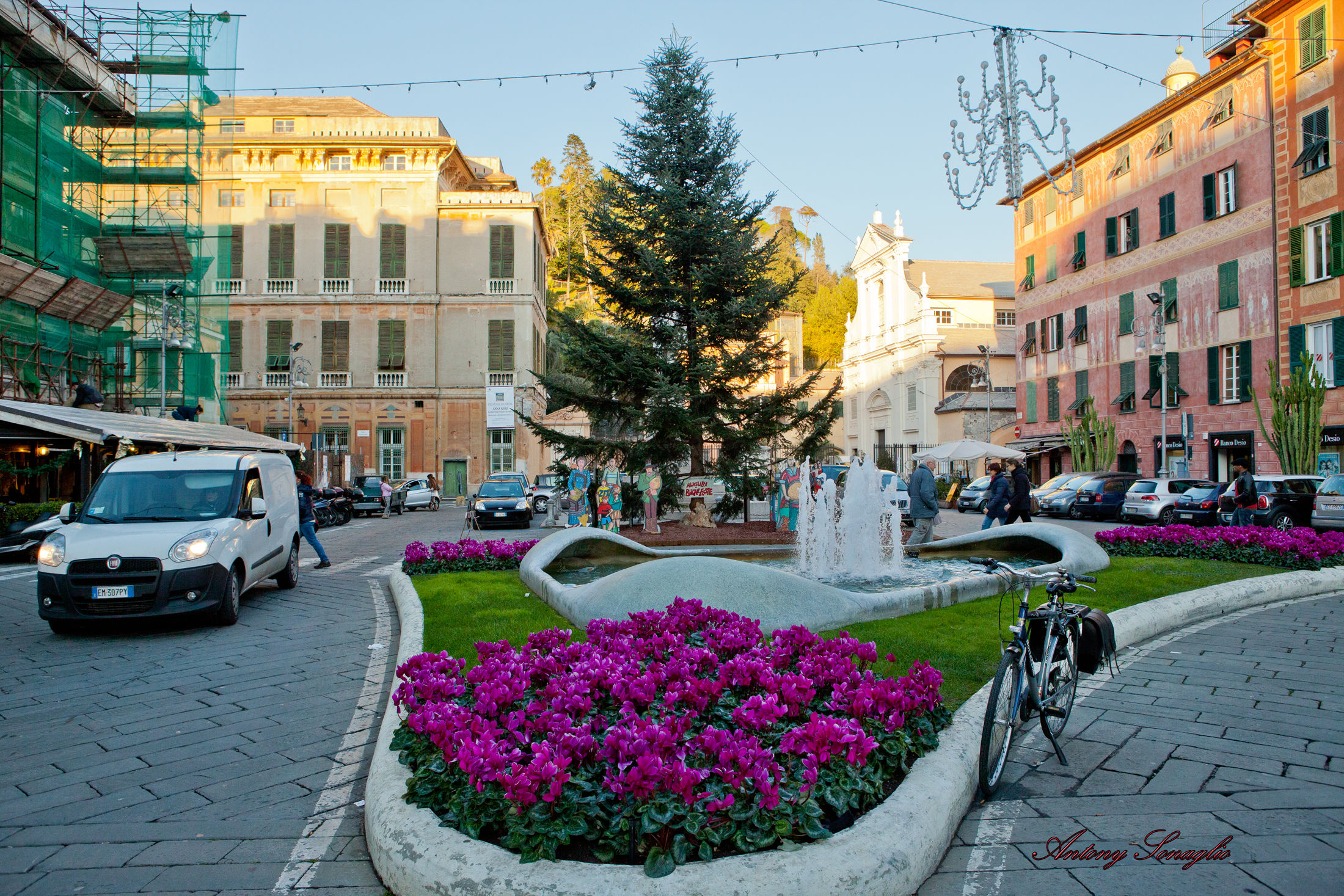 Carriage Square Chiavari
