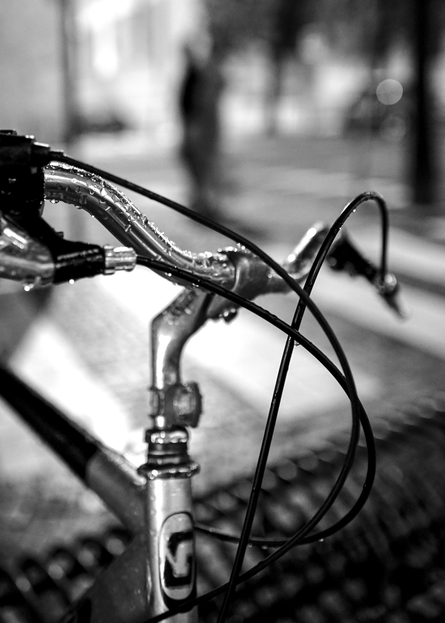 Untitled Photo
