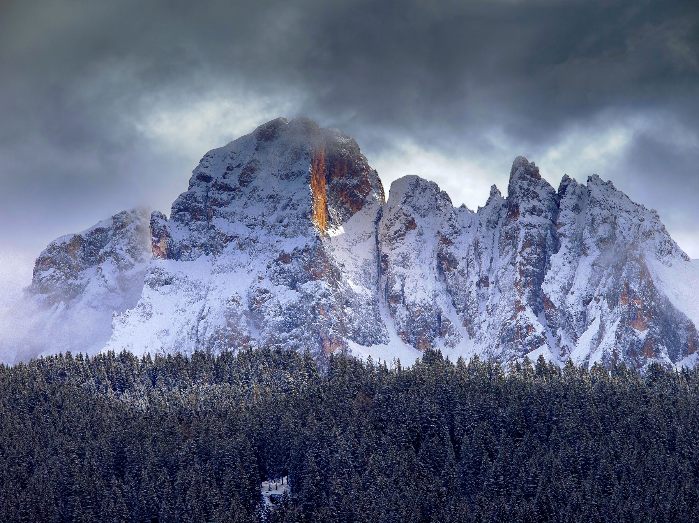 un .. buco nel bosco