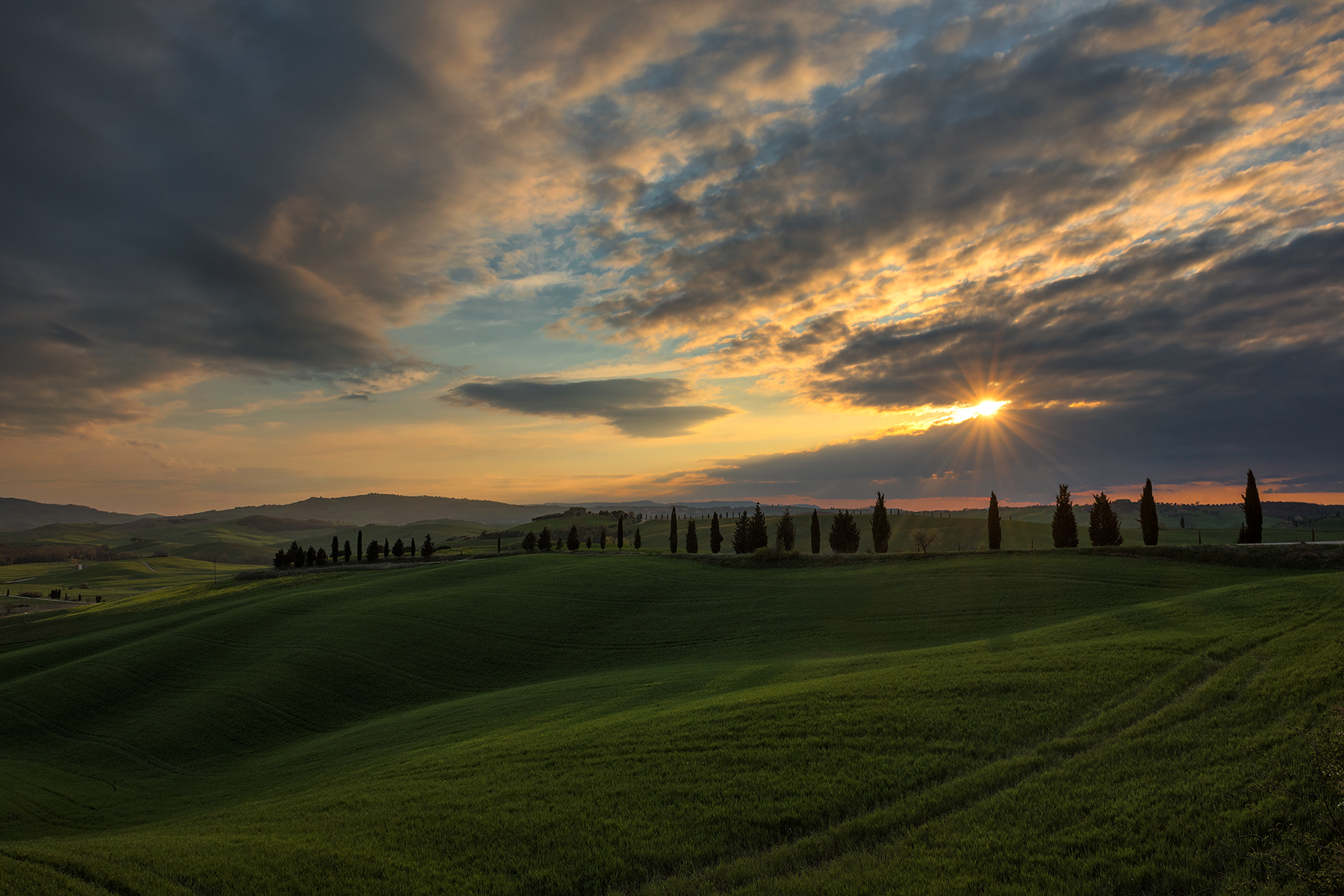 Tuscan rays