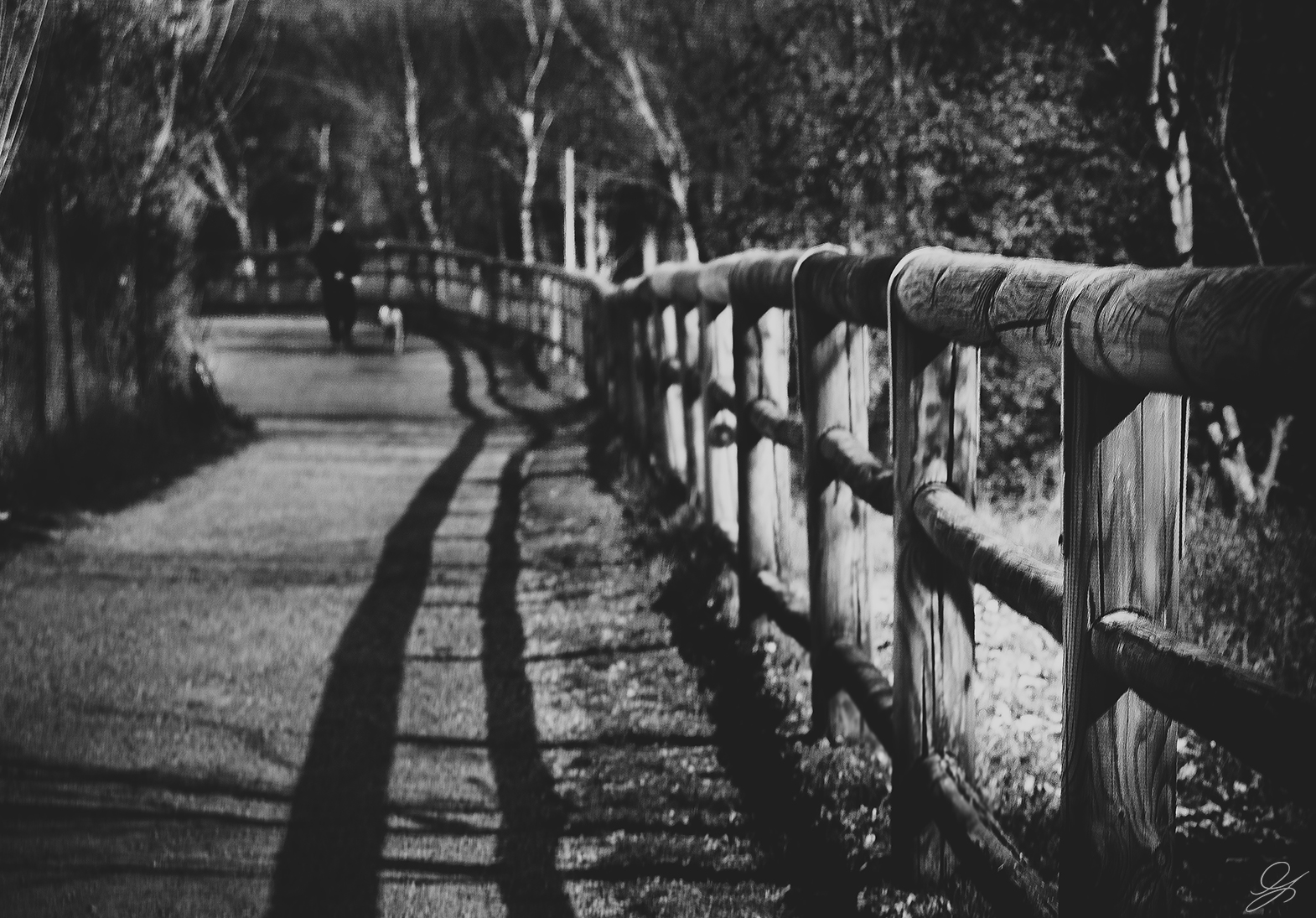 Il migliore amico...