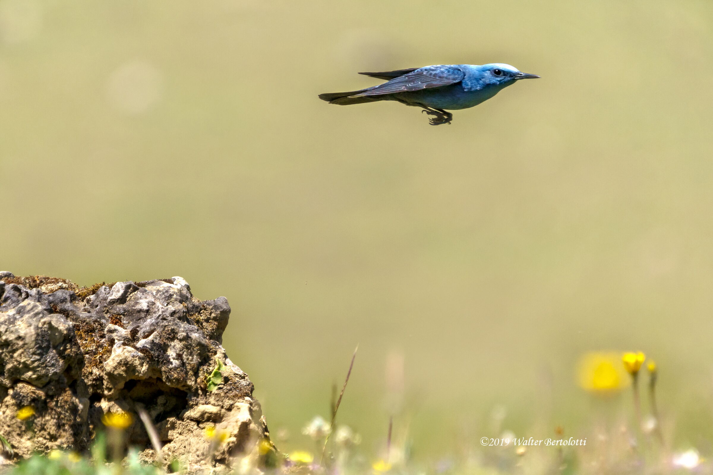 quando si dice Scattare