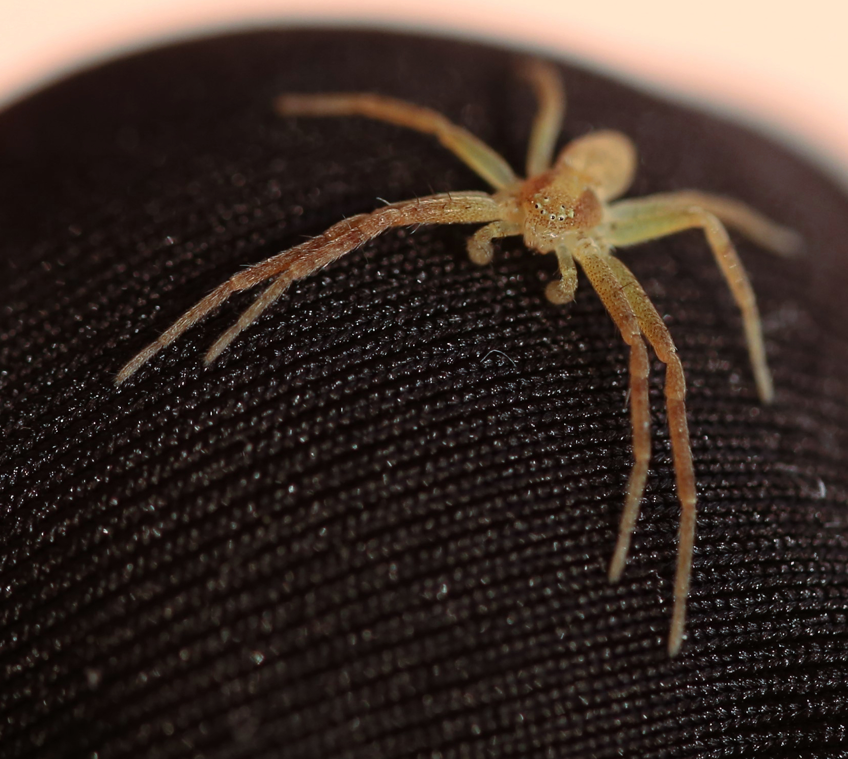 Solo per i tuoi occhi