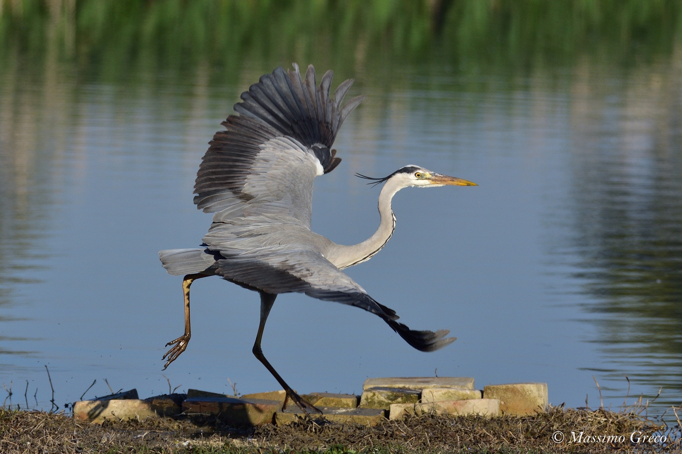Ballando in riva al lago