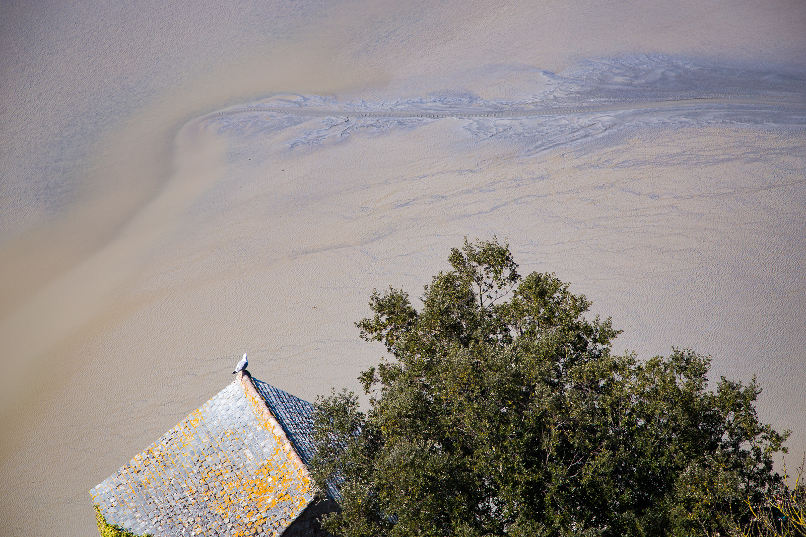 Altezze - Mont Saint Michel