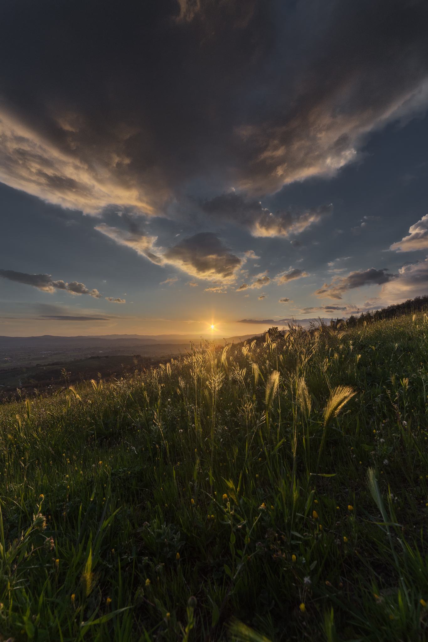 Tramonto in Giardino
