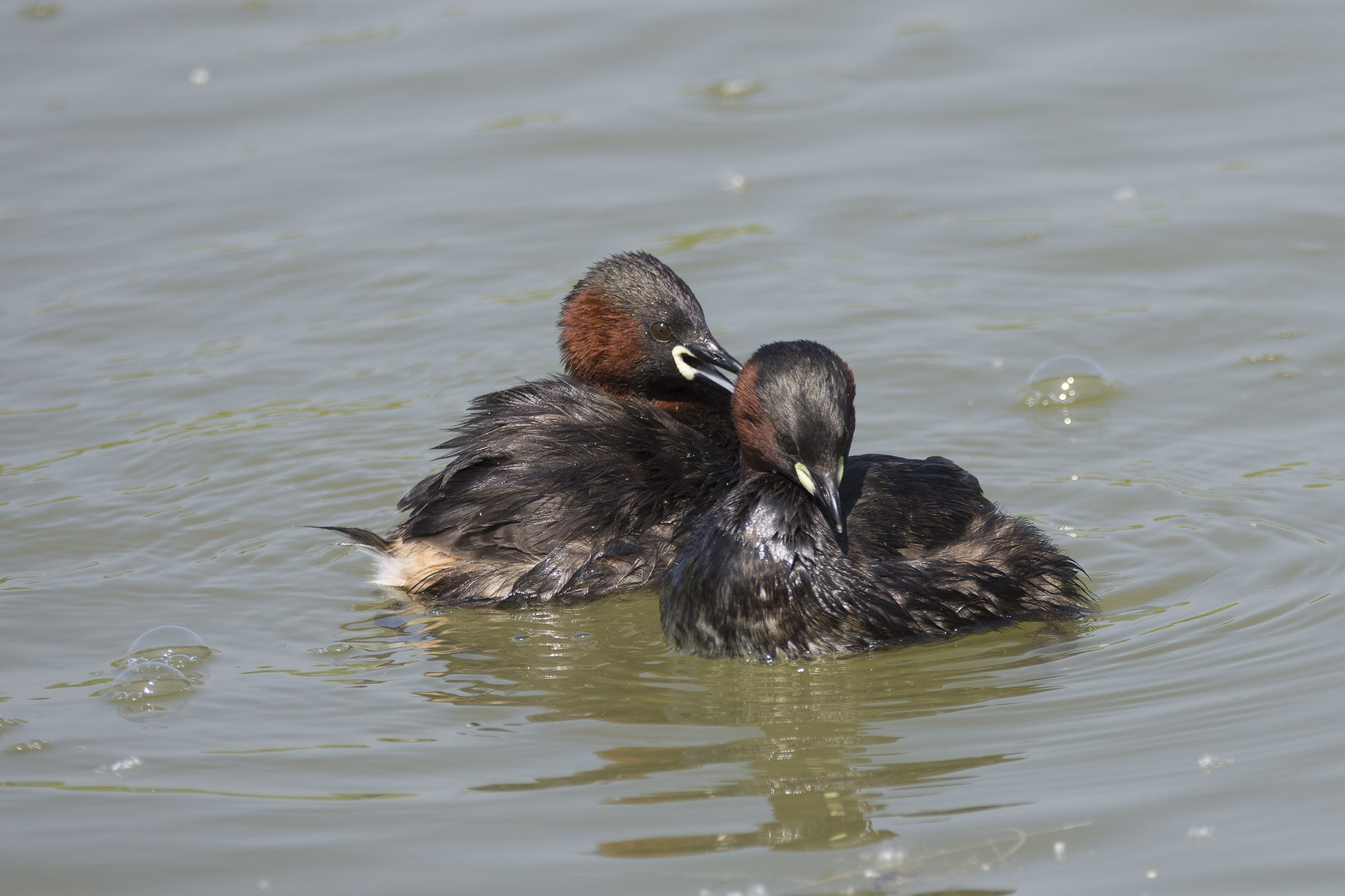 So you make me blush...