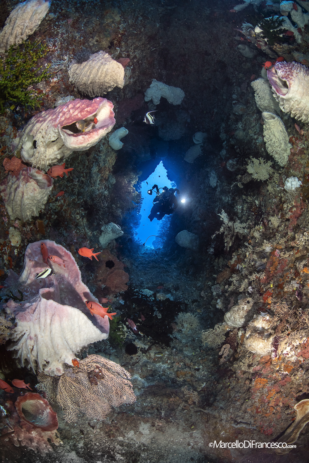 Papuan Reefscapes Passage