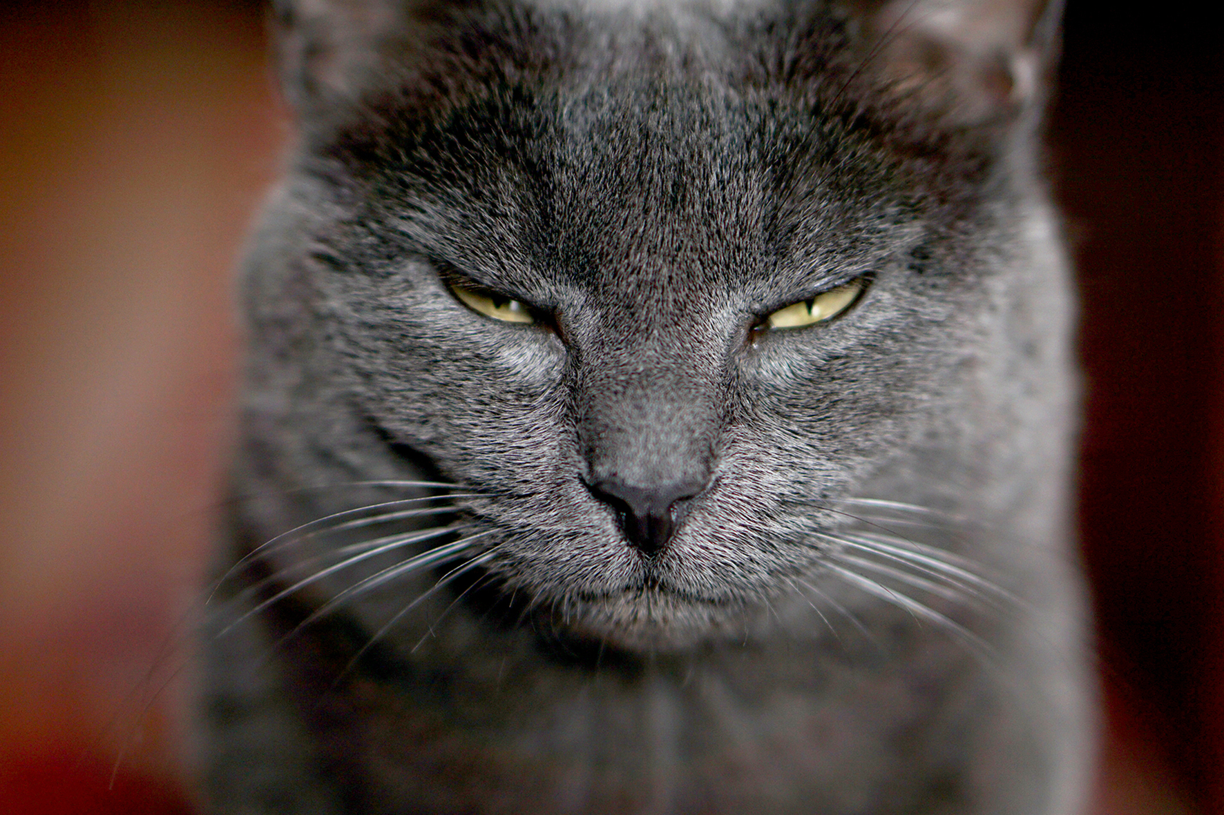 Oggi ho la Luna storta