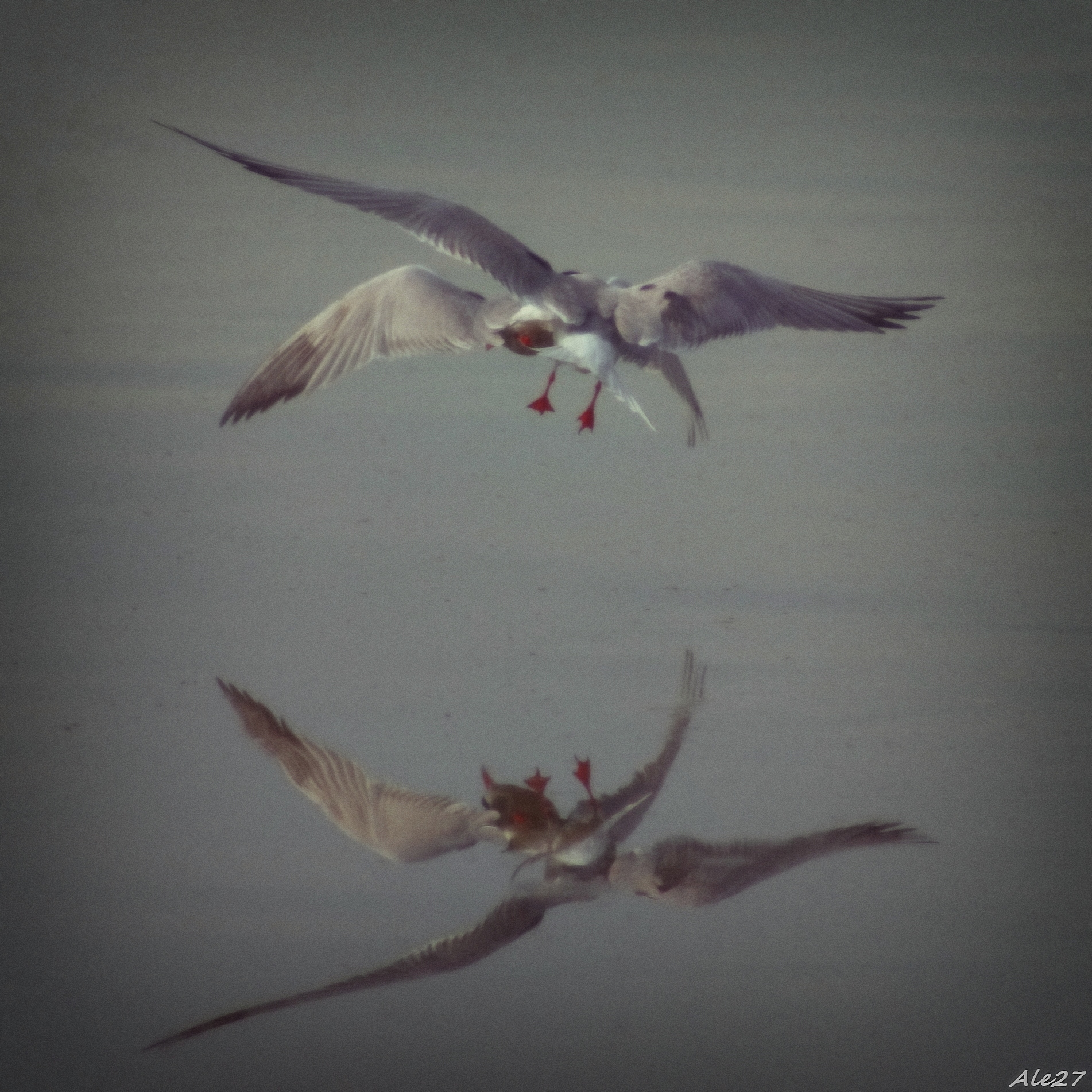 .... The soul flies...