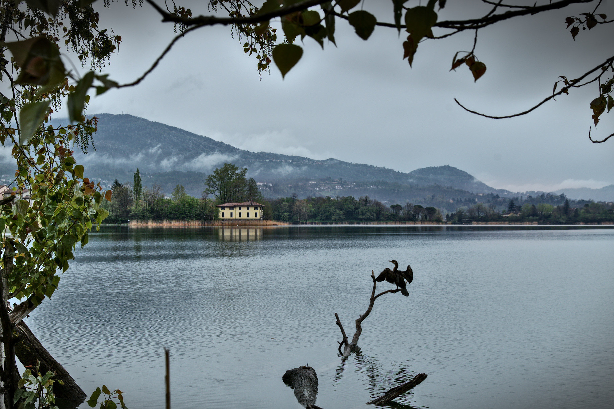 The House on the lake