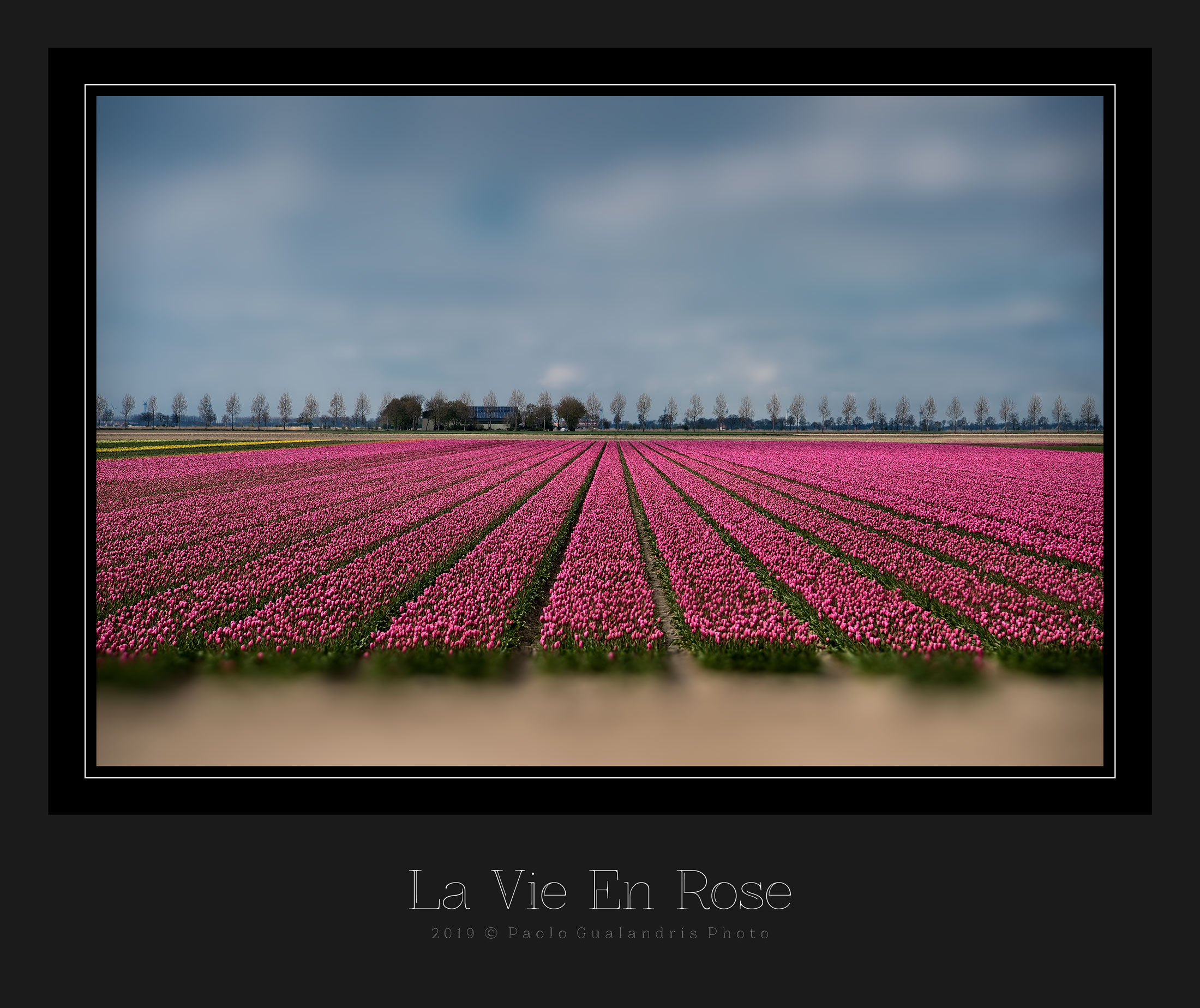 La Vie En Rose