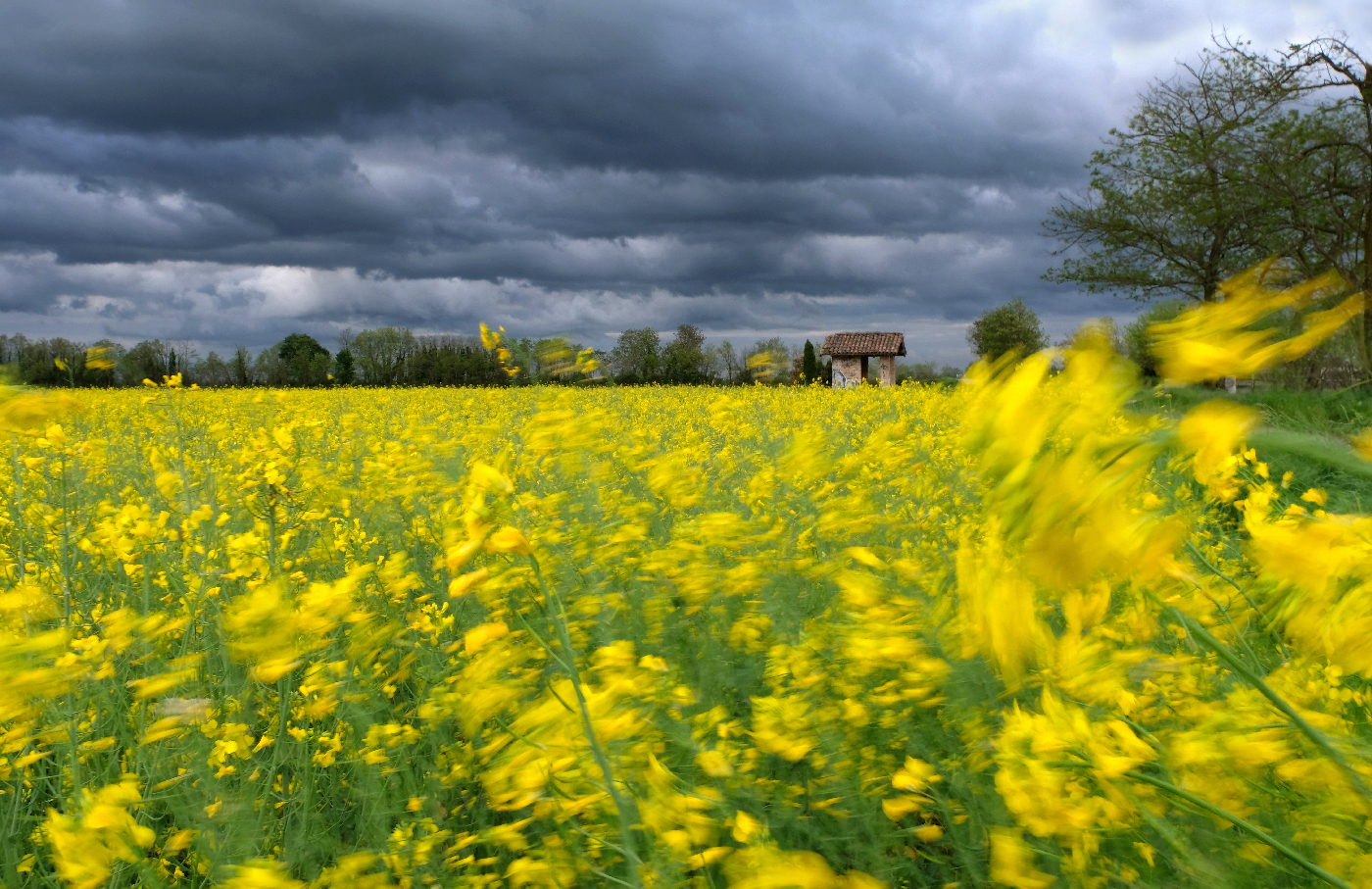 Challenge the weather and challenge the wind with Love