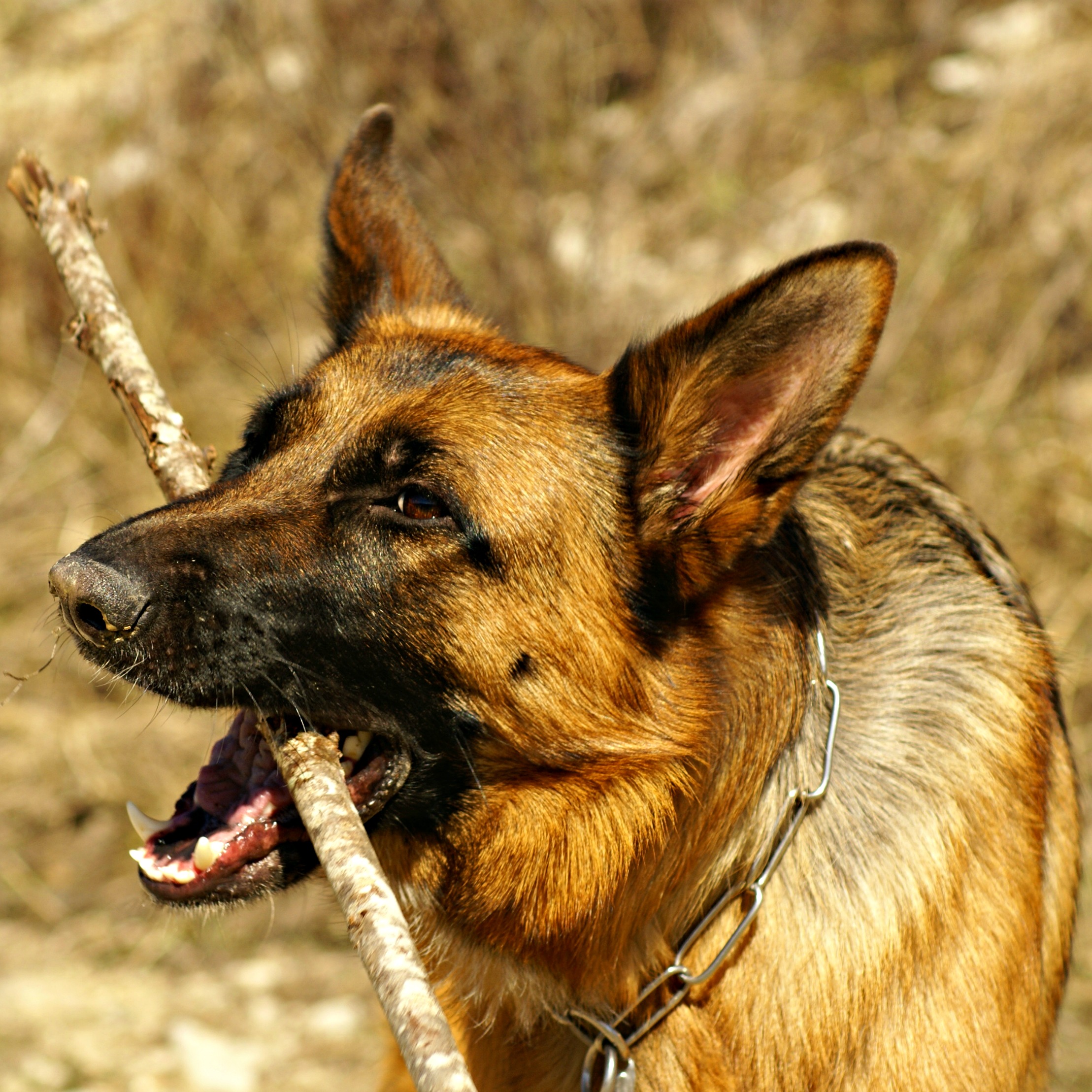 It's My... And I don't give it to anyone!