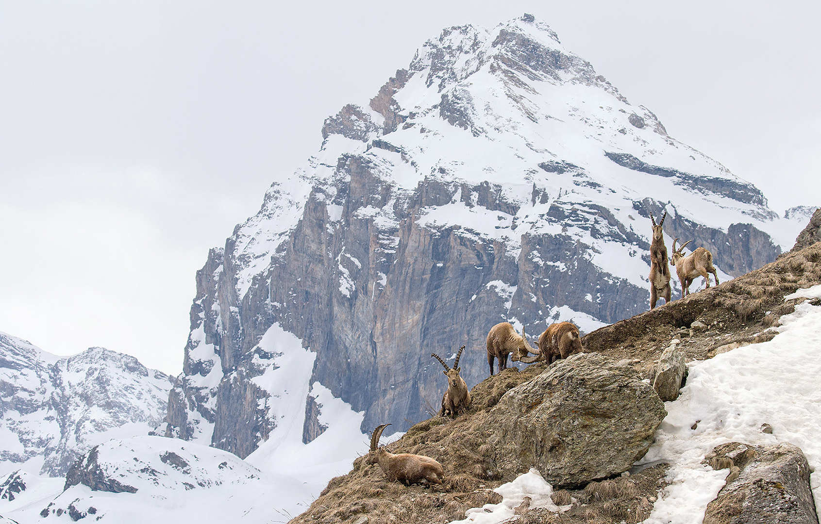 In the background the Granta Parei